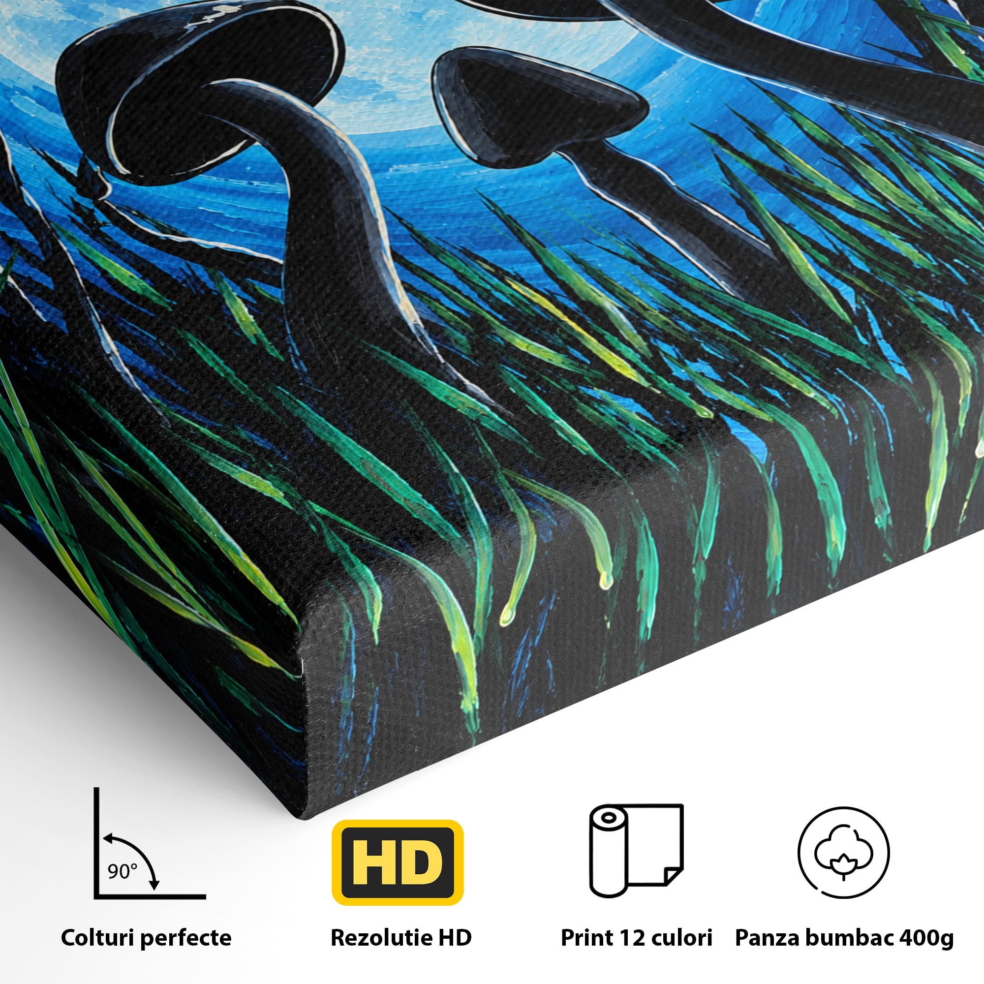 Tablou Canvas Premium LuxCanva® U1075, Ciuperci Sub Luna Plina, Noapte, Natura, Misterios, Ciuperci, Luna, Living, Culori Vibrante