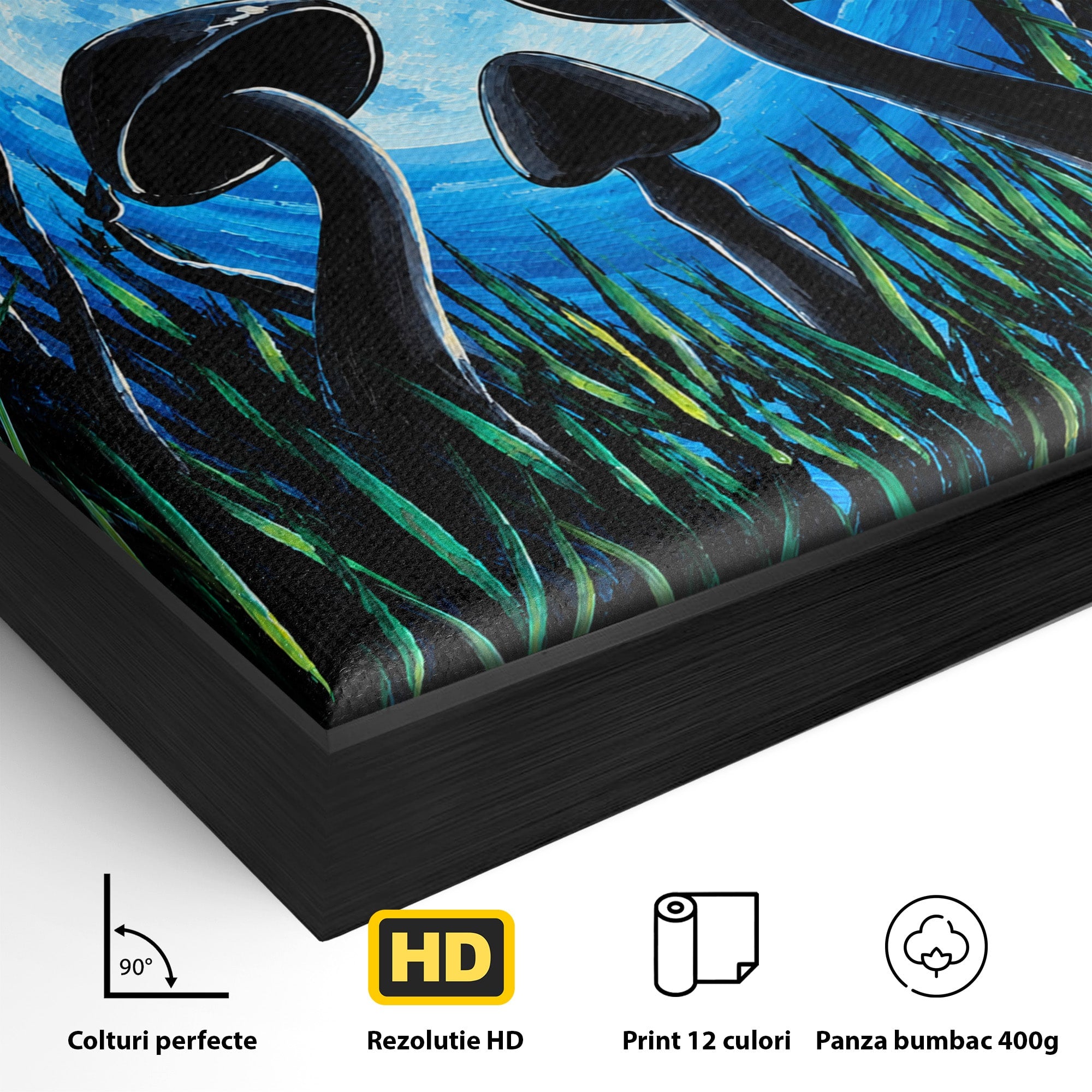 Tablou Canvas Premium LuxCanva® U1075, Ciuperci Sub Luna Plina, Noapte, Natura, Misterios, Ciuperci, Luna, Living, Culori Vibrante