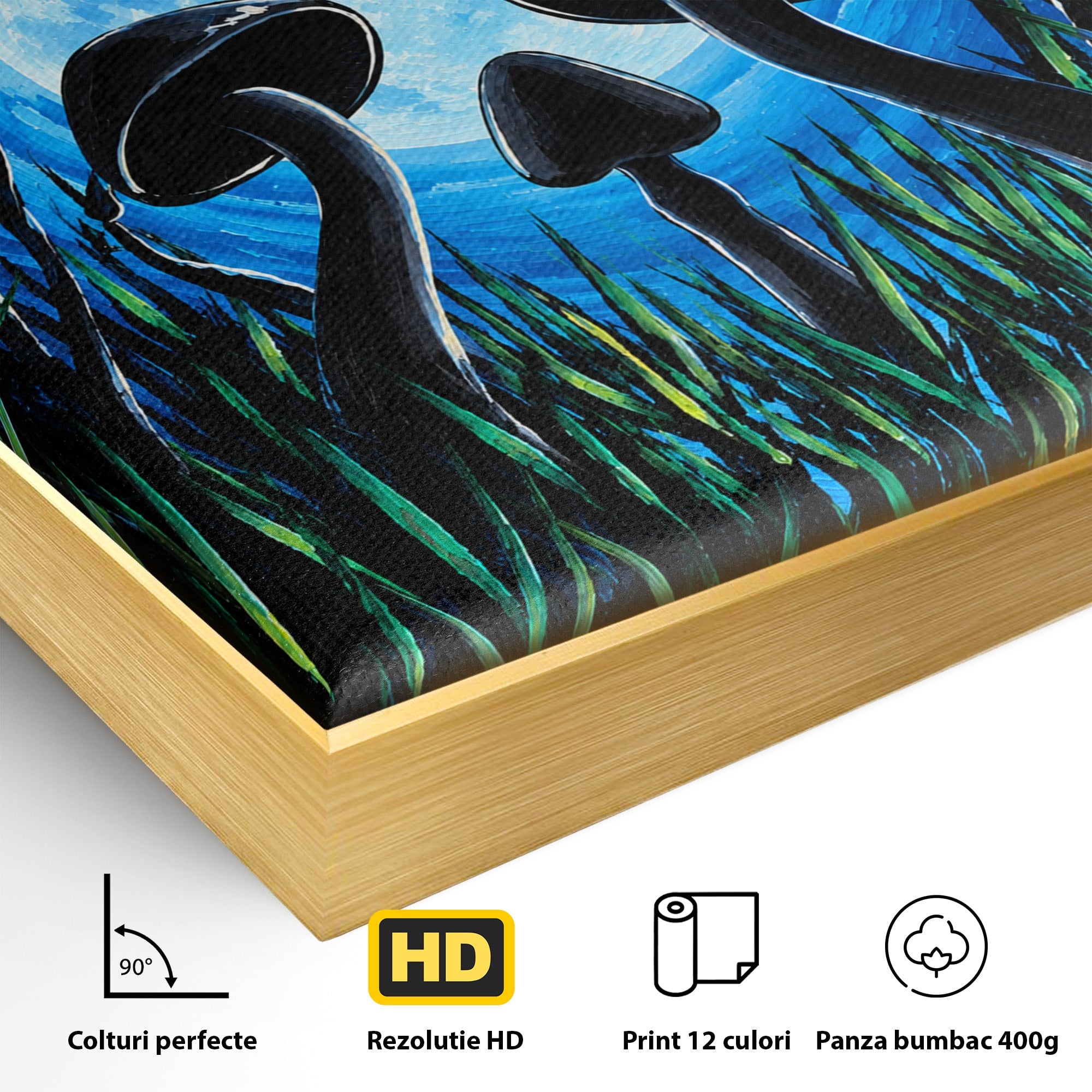 Tablou Canvas Premium LuxCanva® U1075, Ciuperci Sub Luna Plina, Noapte, Natura, Misterios, Ciuperci, Luna, Living, Culori Vibrante