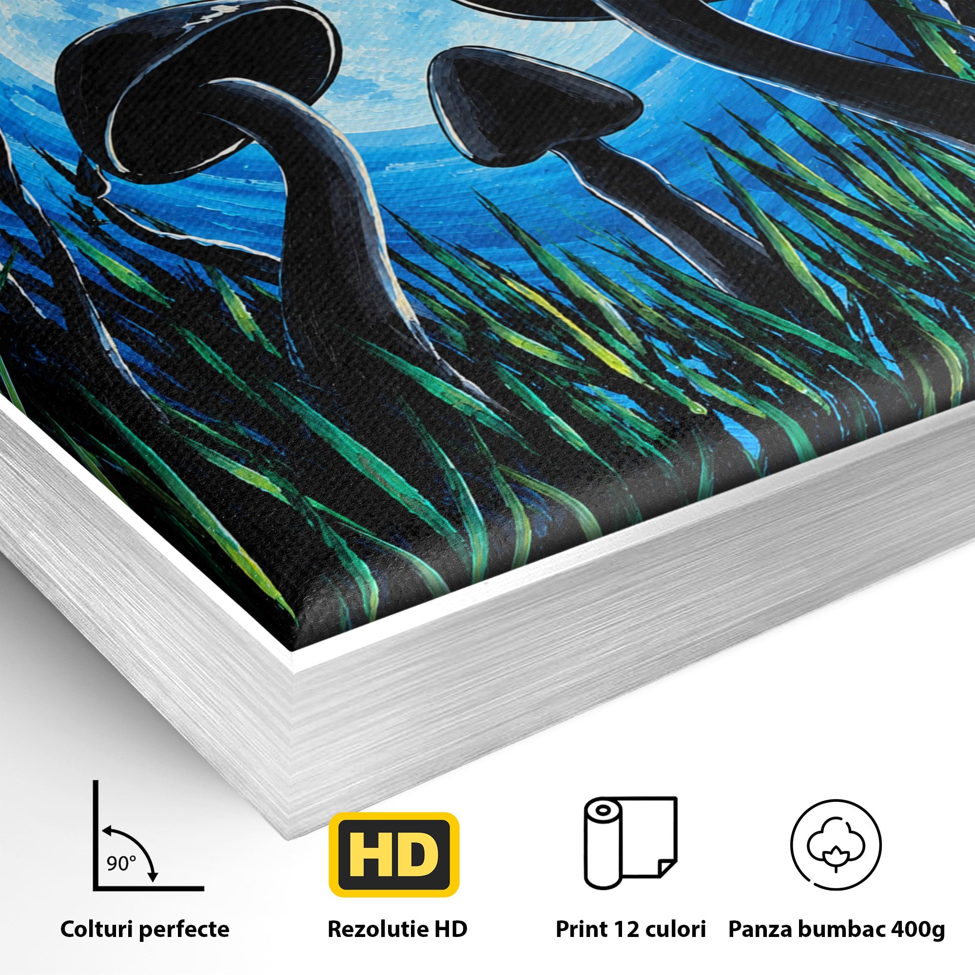 Tablou Canvas Premium LuxCanva® U1075, Ciuperci Sub Luna Plina, Noapte, Natura, Misterios, Ciuperci, Luna, Living, Culori Vibrante
