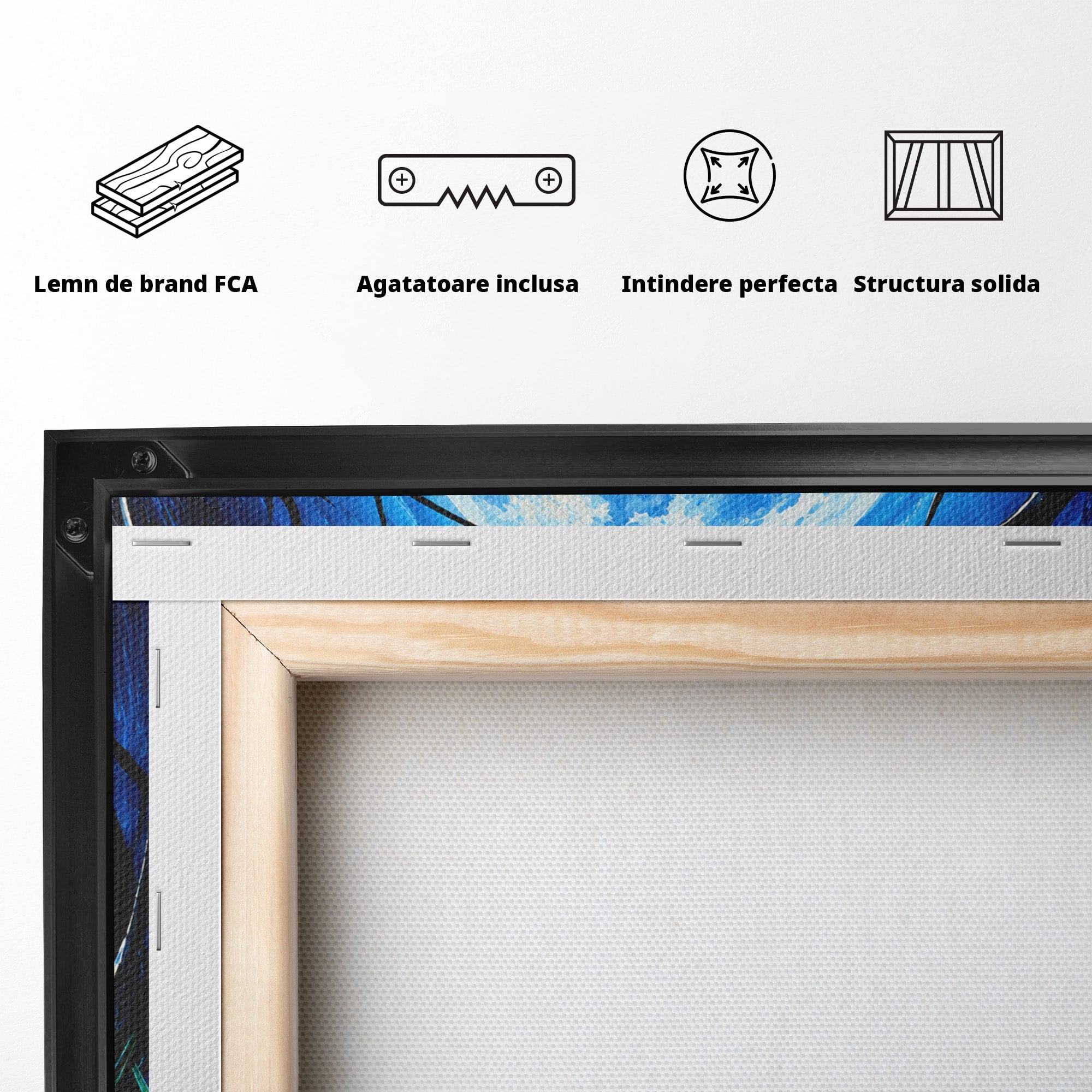 Tablou Canvas Premium LuxCanva® U1075, Ciuperci Sub Luna Plina, Noapte, Natura, Misterios, Ciuperci, Luna, Living, Culori Vibrante