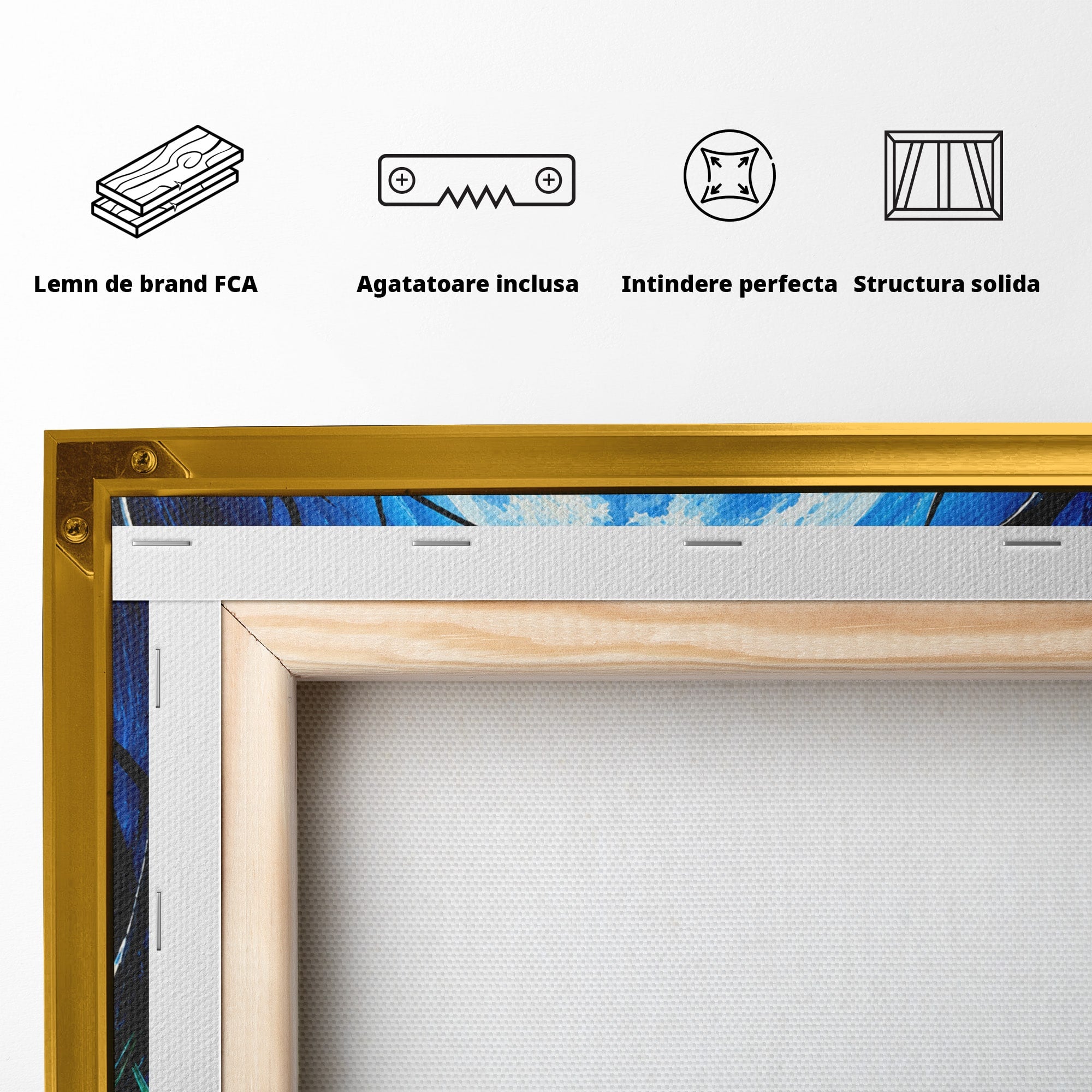 Tablou Canvas Premium LuxCanva® U1075, Ciuperci Sub Luna Plina, Noapte, Natura, Misterios, Ciuperci, Luna, Living, Culori Vibrante