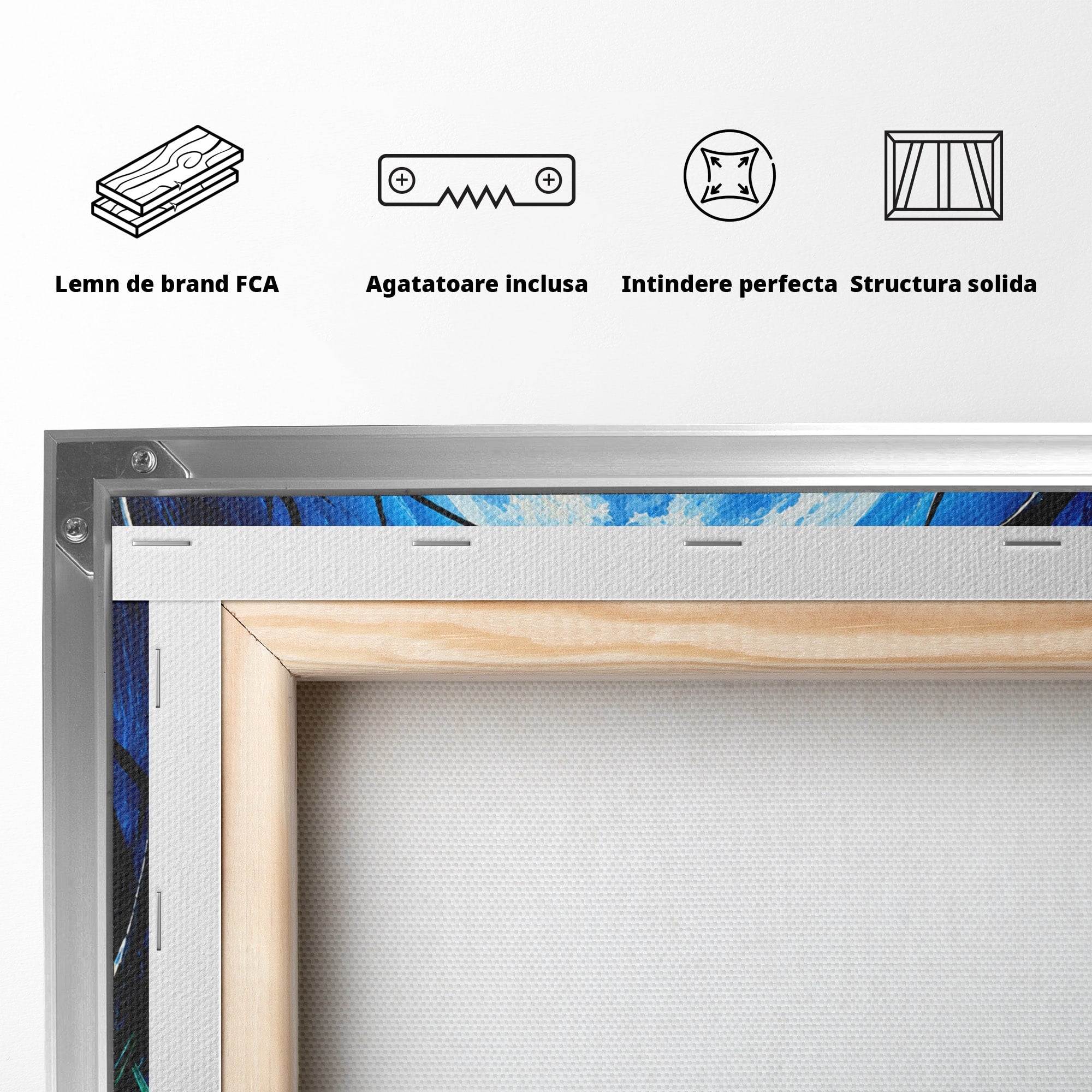 Tablou Canvas Premium LuxCanva® U1075, Ciuperci Sub Luna Plina, Noapte, Natura, Misterios, Ciuperci, Luna, Living, Culori Vibrante