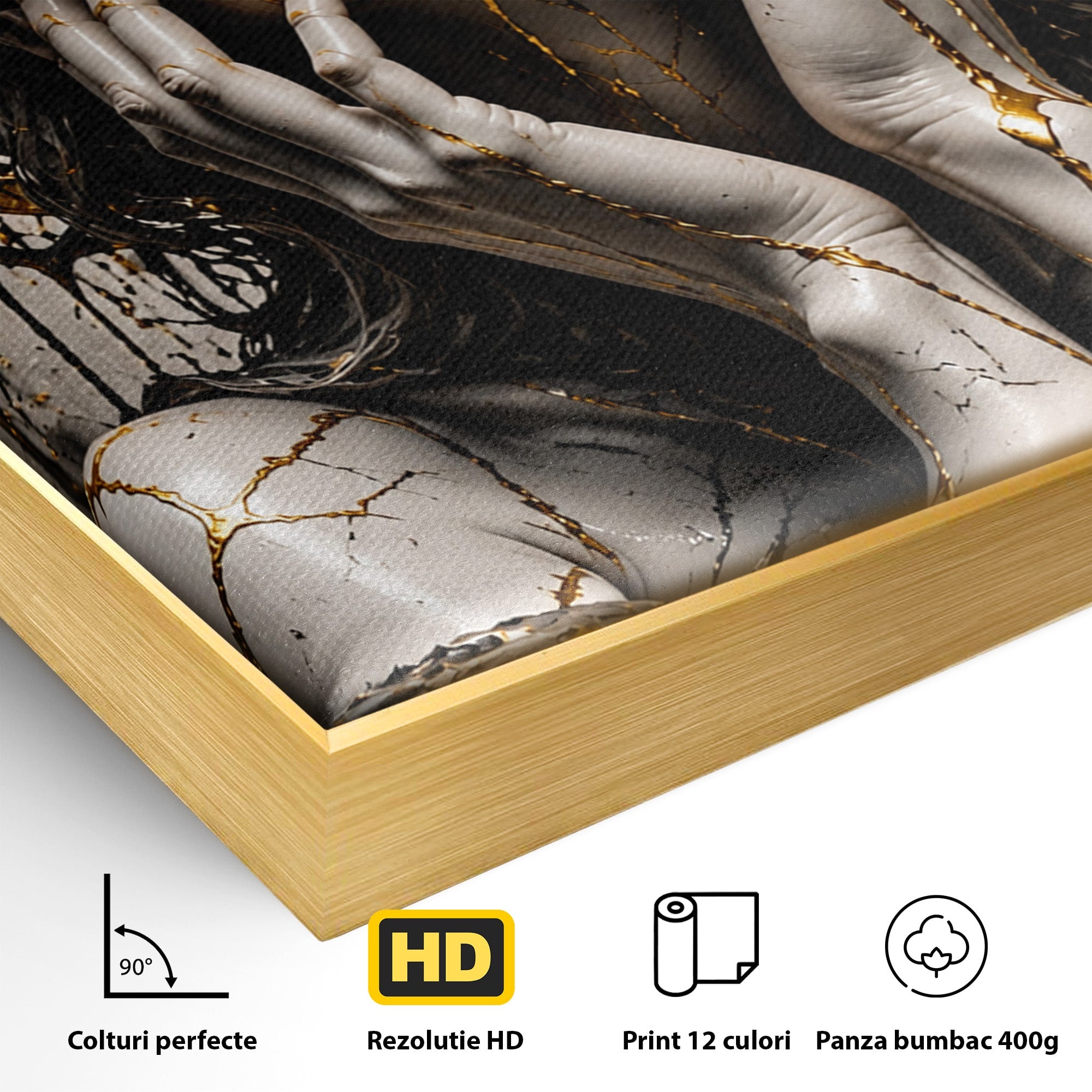 Tablou Canvas Premium LuxCanva® U1078, Zeita De Aur, Portret, Arta, Zeita, Living, Dormitor, Culori Vibrante