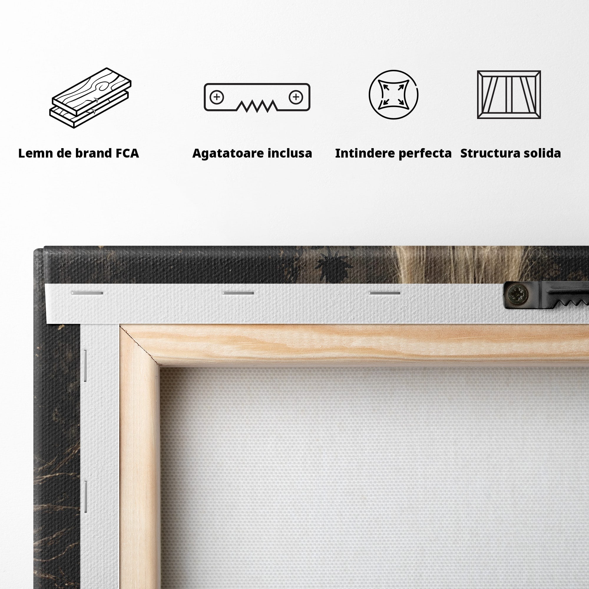 Tablou Canvas Premium LuxCanva® U1079, Intalnirea Mistica, Mister, Fantome, Padure, Noapte, Living, Dormitor, Culori Vibrante
