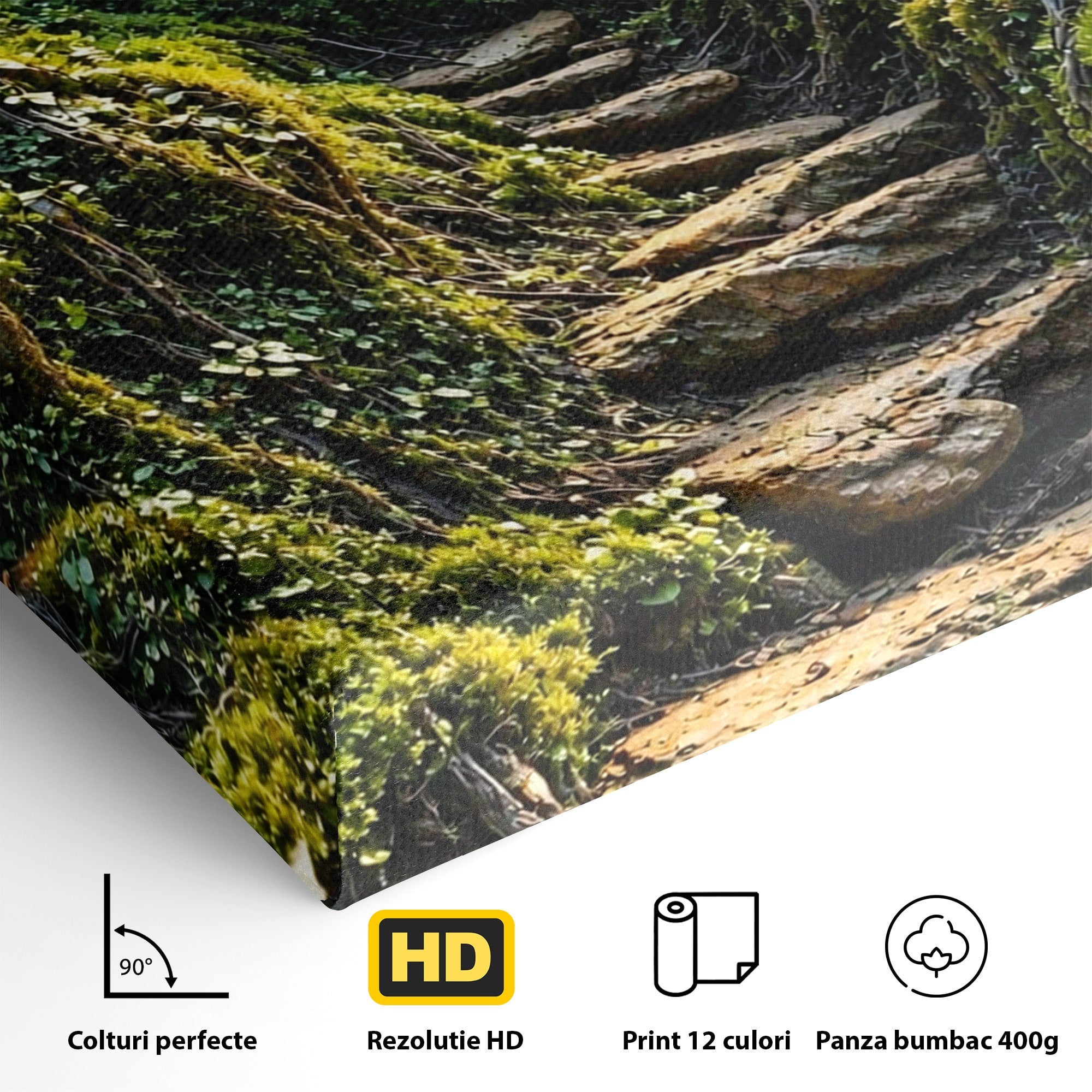 Tablou Canvas Premium LuxCanva® U1081, Privire Prin Padure, Ochi, Natura, Mister, Padure, Living, Culori Vibrante