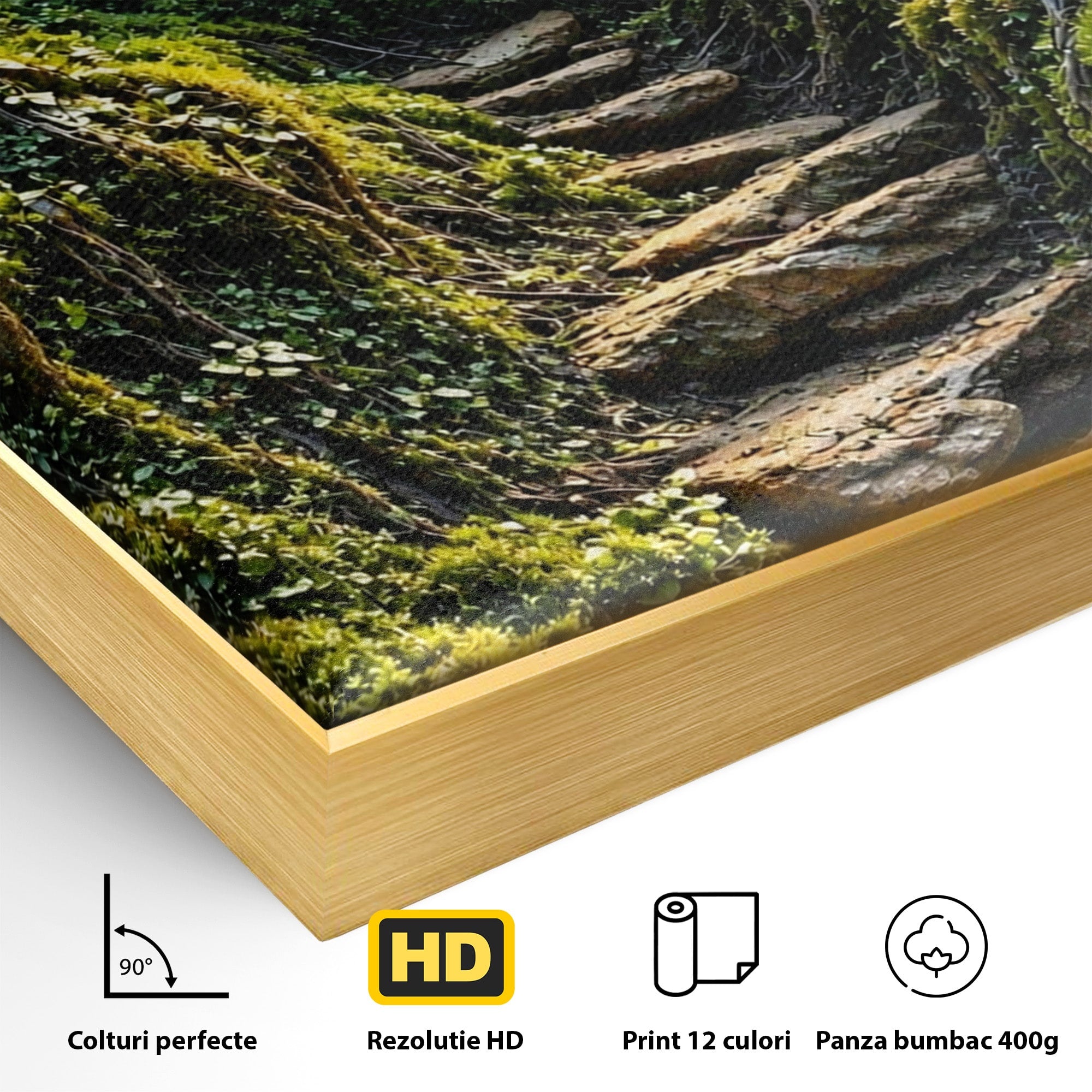 Tablou Canvas Premium LuxCanva® U1081, Privire Prin Padure, Ochi, Natura, Mister, Padure, Living, Culori Vibrante