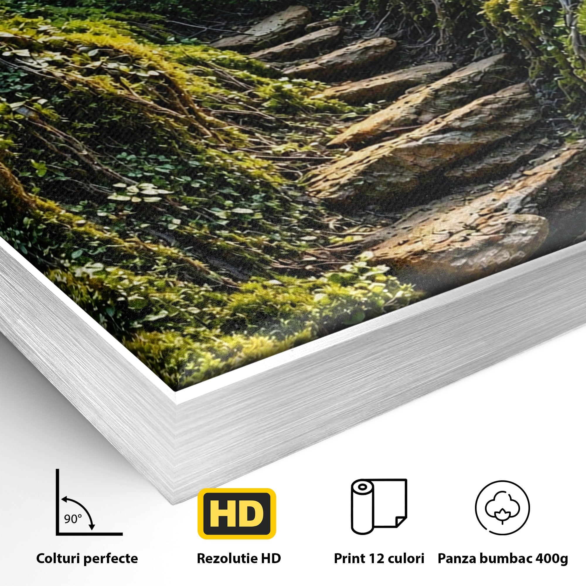 Tablou Canvas Premium LuxCanva® U1081, Privire Prin Padure, Ochi, Natura, Mister, Padure, Living, Culori Vibrante