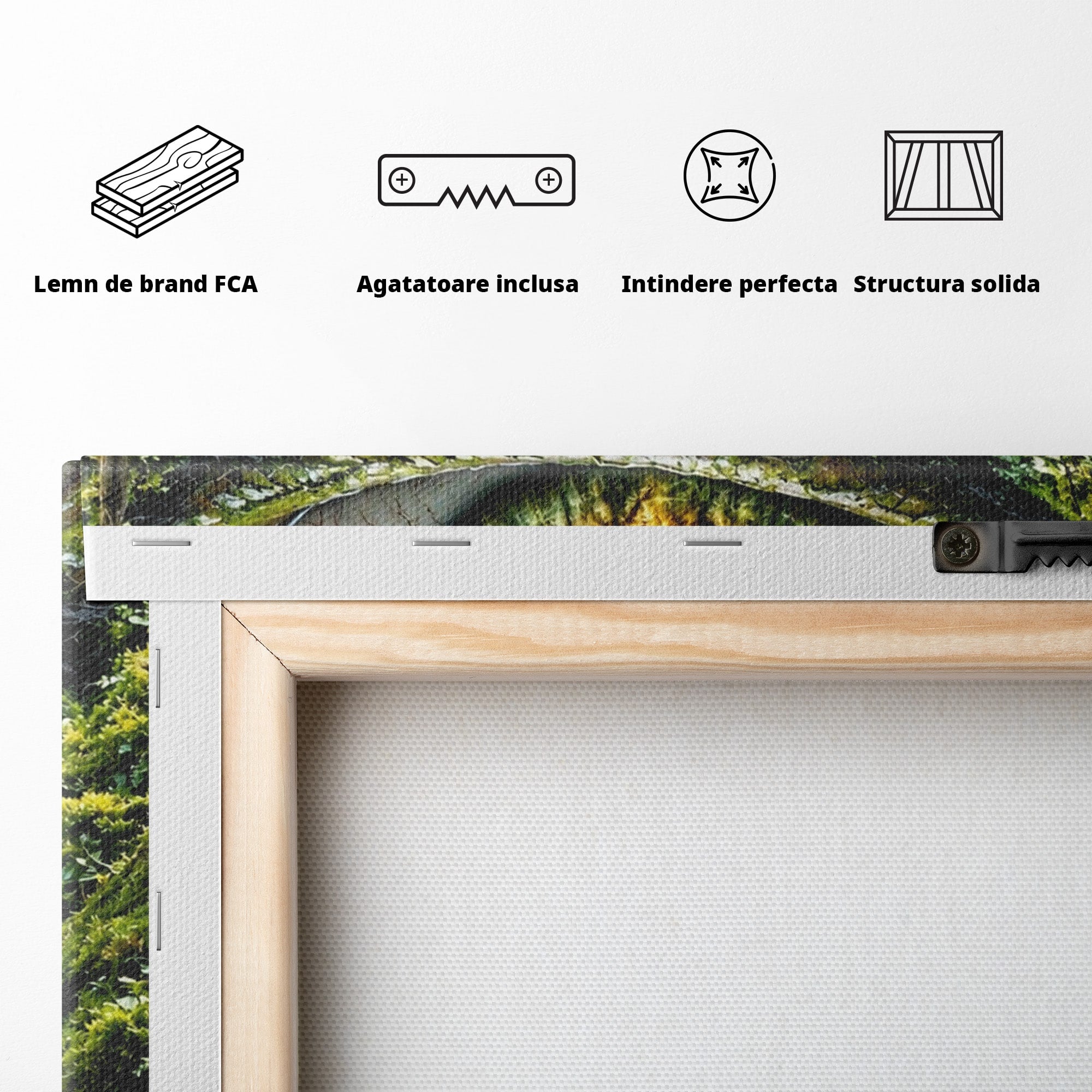 Tablou Canvas Premium LuxCanva® U1081, Privire Prin Padure, Ochi, Natura, Mister, Padure, Living, Culori Vibrante