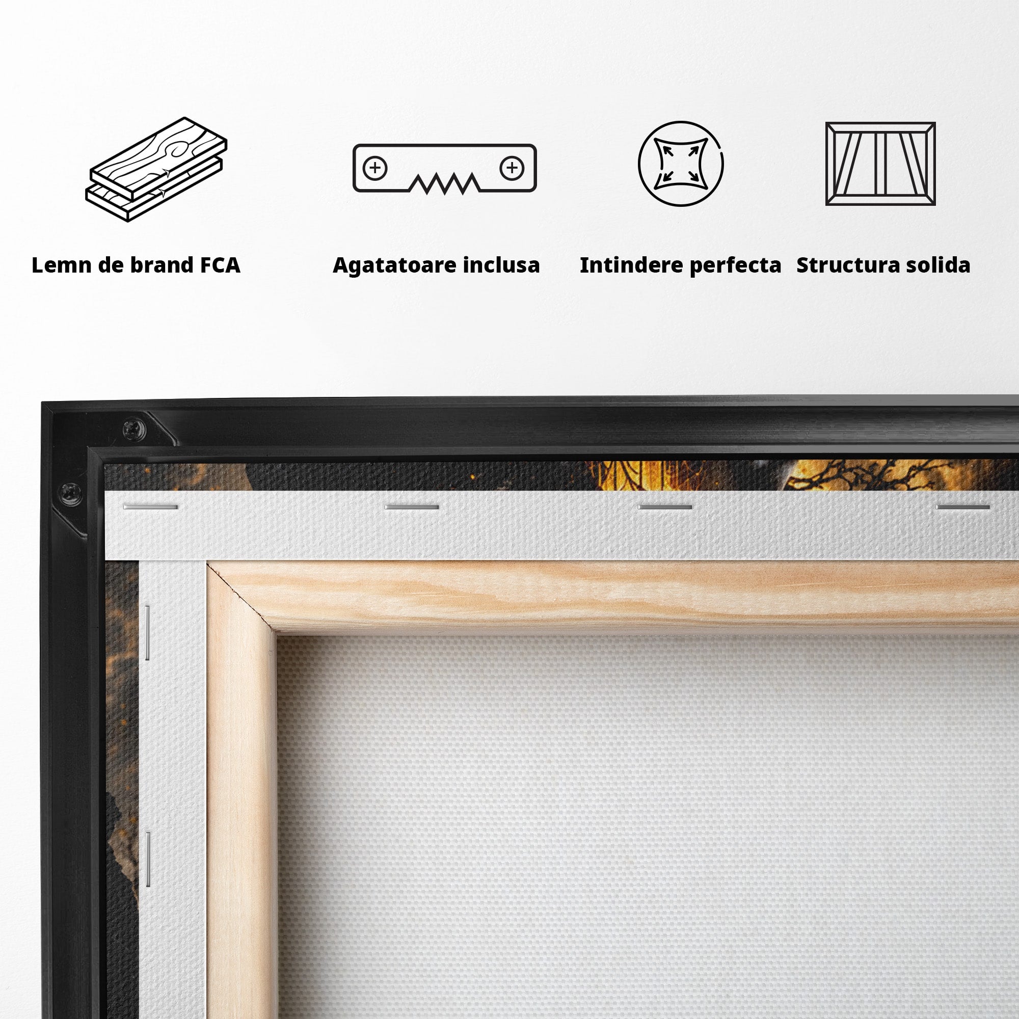 Tablou Canvas Premium LuxCanva® U1082, Silueta Lunara, Luna,  Mister, Noapte, Silueta, Living, Culori Vibrante