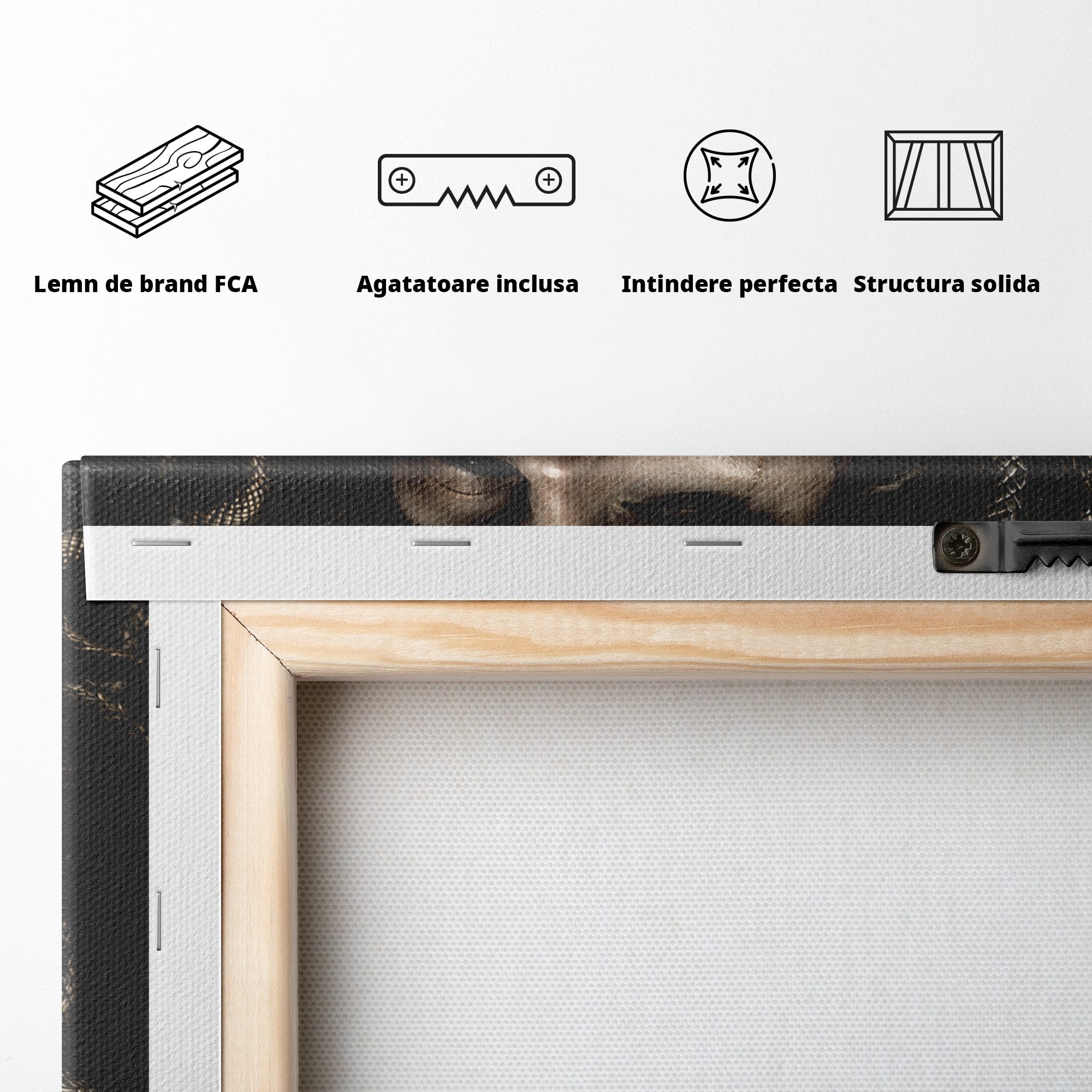 Tablou Canvas Premium LuxCanva® U1084, Meduza Moderna, Mitologie, Portret, Serpi, Meduza,  Dormitor, Culori Vibrante