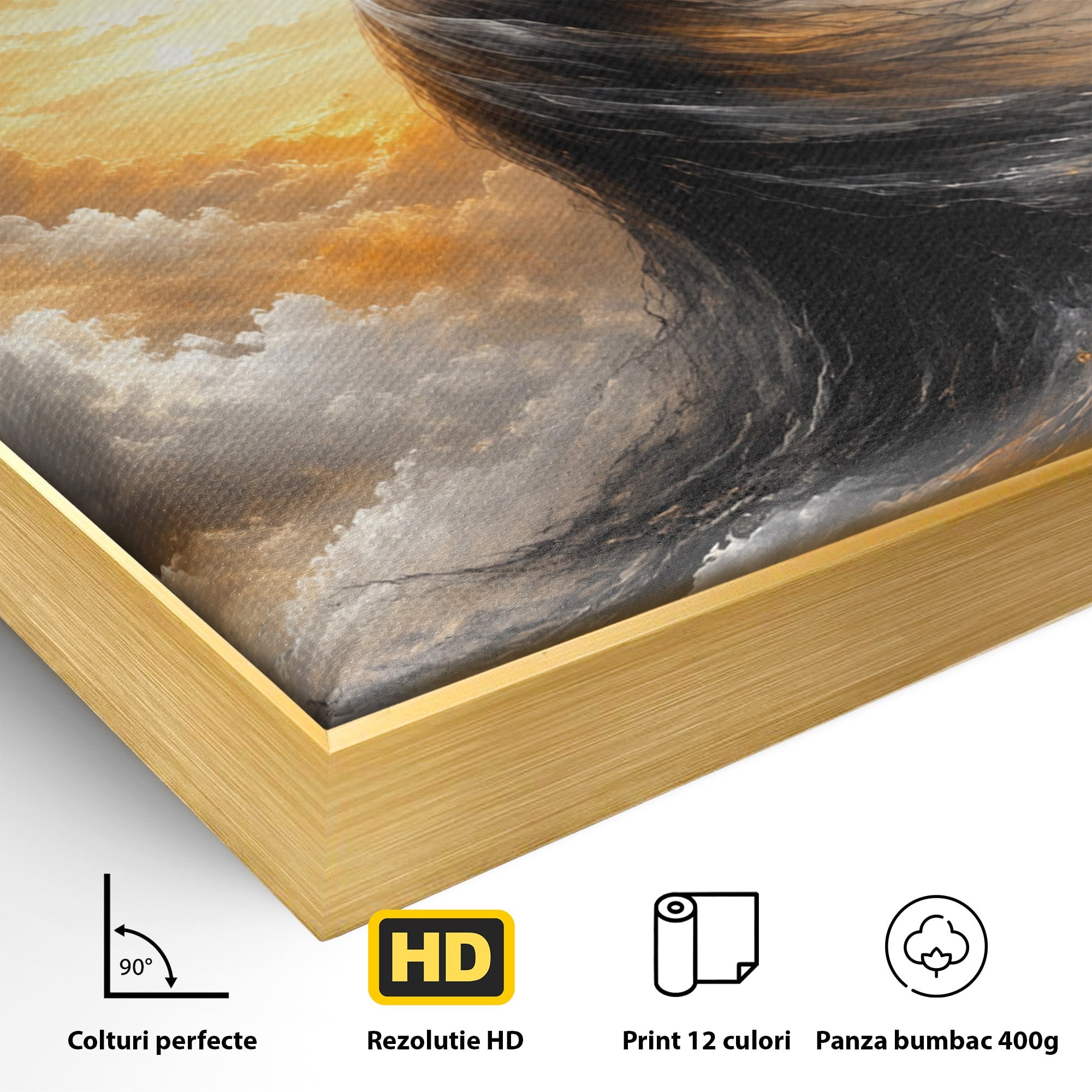 Tablou Canvas Premium LuxCanva® U1085, Femeie In Vant, Natura, Abstract, Iluzie, Femeie, Vant, Living, Dormitor, Culori Vibrante