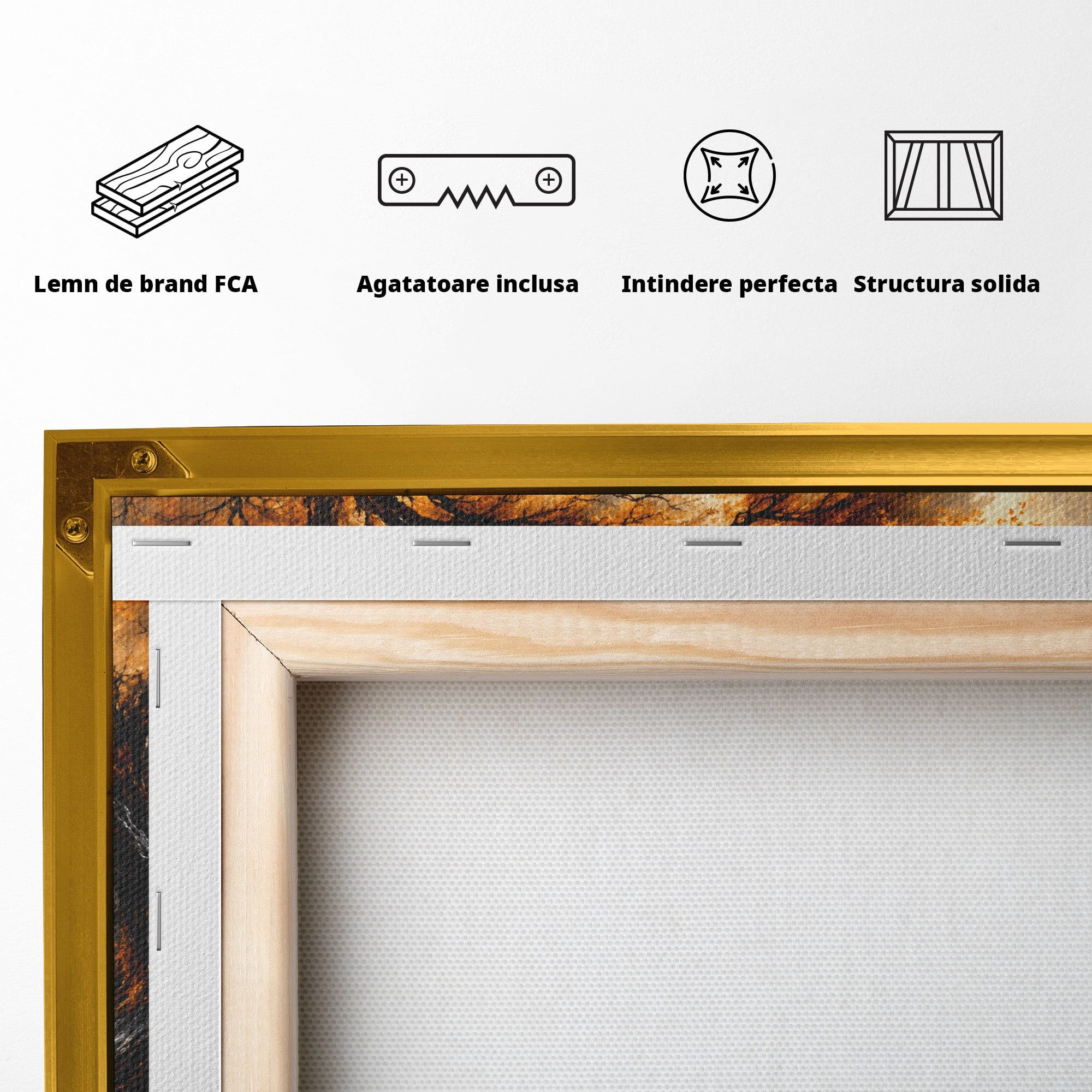 Tablou Canvas Premium LuxCanva® U1085, Femeie In Vant, Natura, Abstract, Iluzie, Femeie, Vant, Living, Dormitor, Culori Vibrante