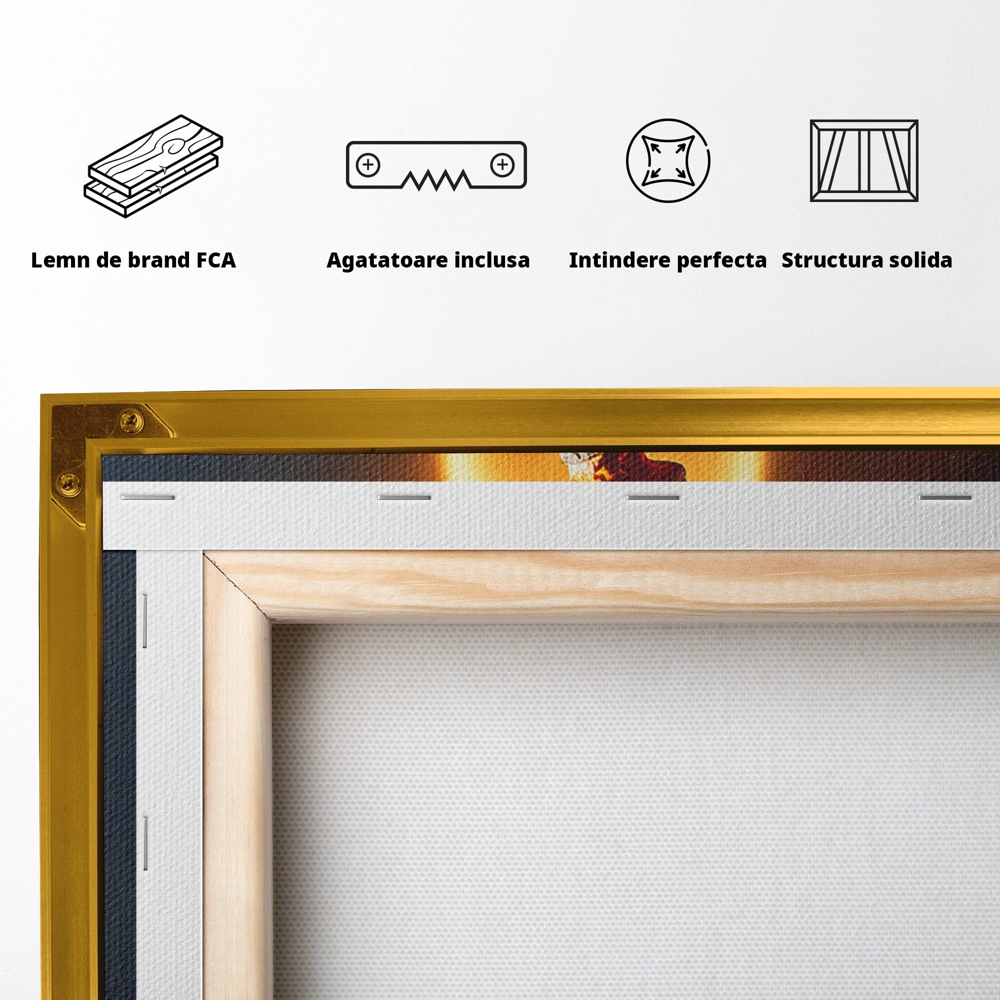 Tablou Canvas Premium LuxCanva® U1087, Omul Flacara, Arta Contemporana, Reflectie, Flacara, Om, Living, Birou, Culori Vibrante