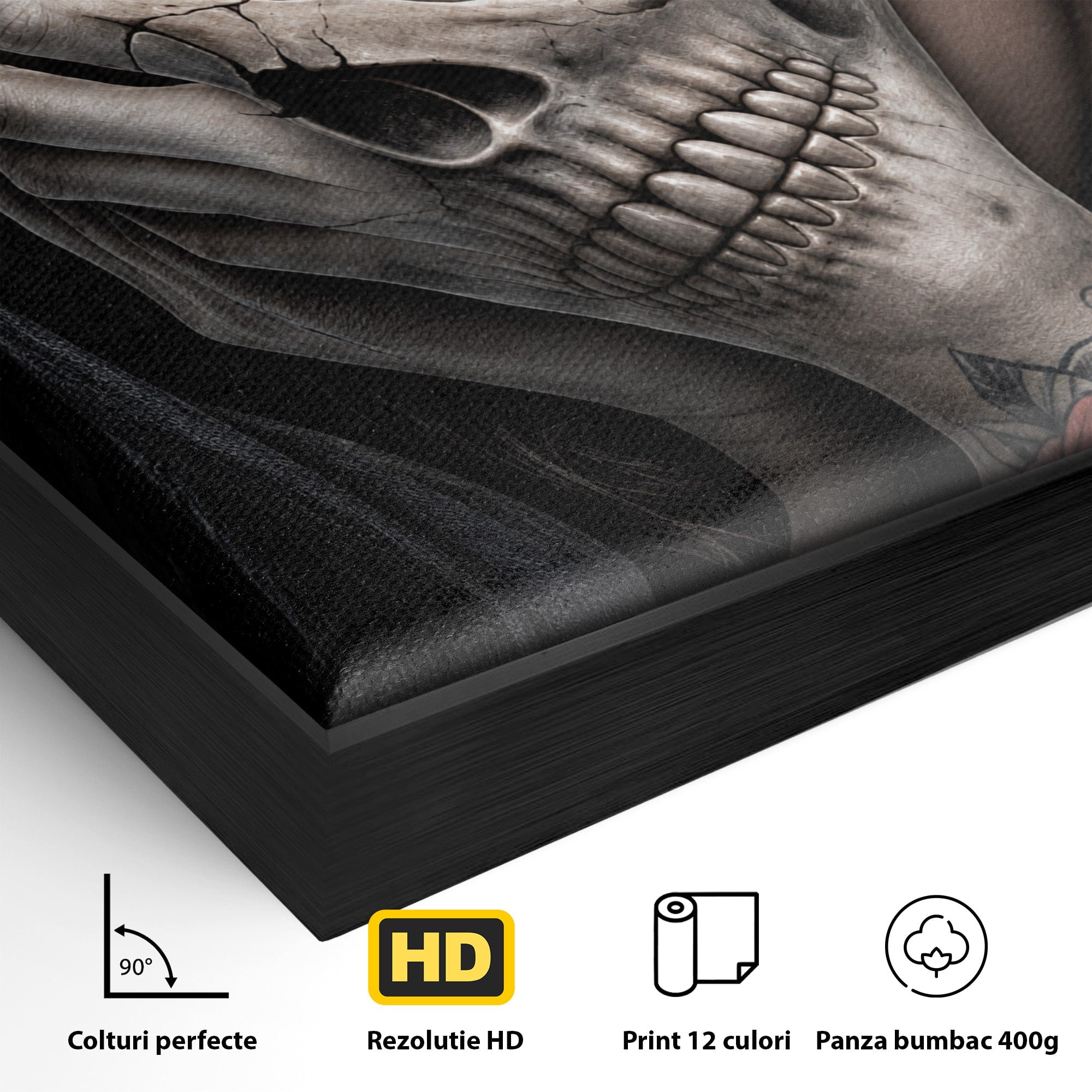 Tablou Canvas Premium LuxCanva® U1088, Privire Intunecata, Portret, Craniu, Mister, Intuneric, Detaliu, Dormitor, Living, Culori Vibrante