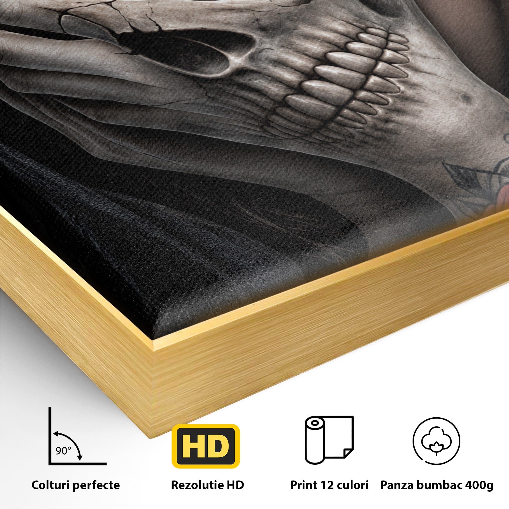 Tablou Canvas Premium LuxCanva® U1088, Privire Intunecata, Portret, Craniu, Mister, Intuneric, Detaliu, Dormitor, Living, Culori Vibrante