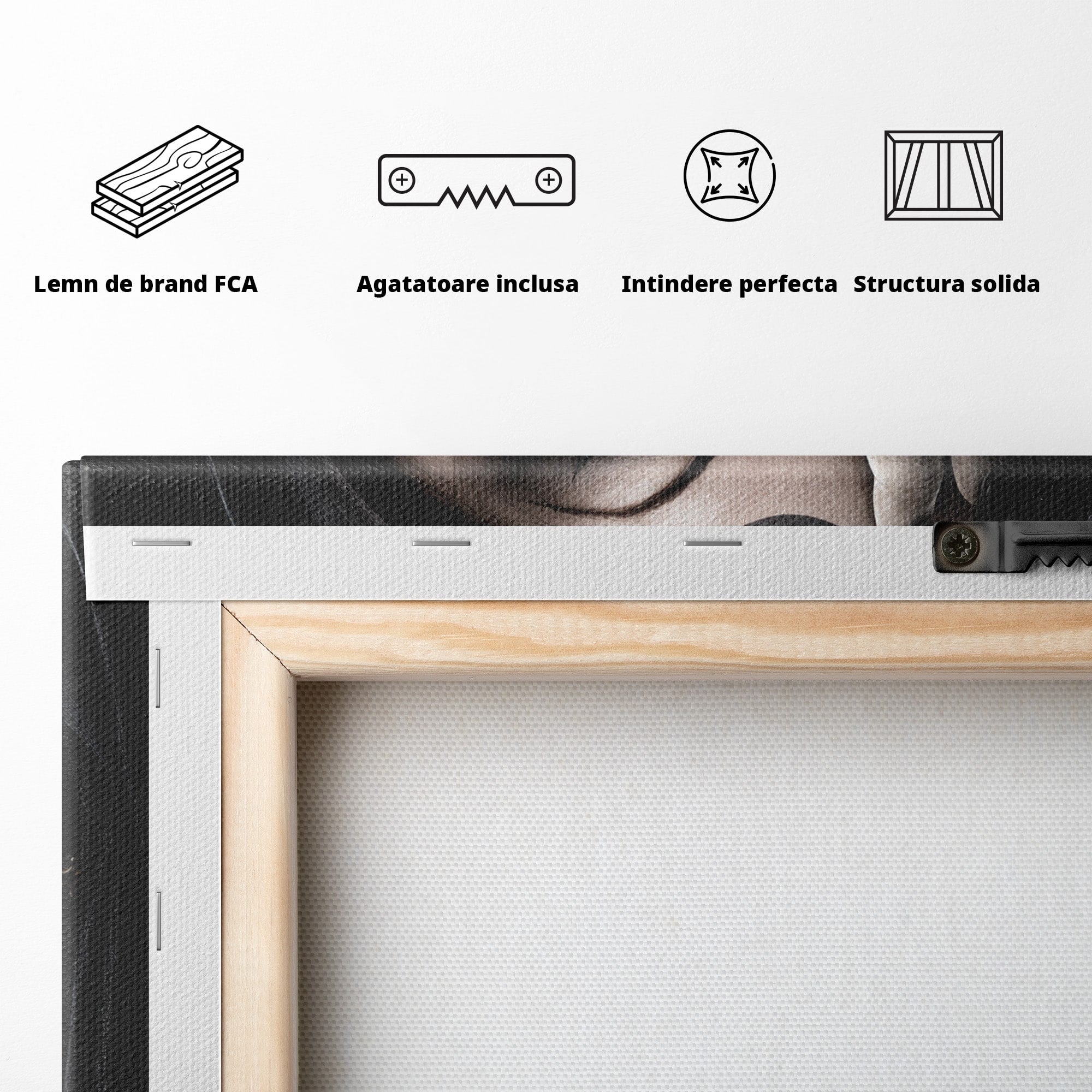 Tablou Canvas Premium LuxCanva® U1088, Privire Intunecata, Portret, Craniu, Mister, Intuneric, Detaliu, Dormitor, Living, Culori Vibrante