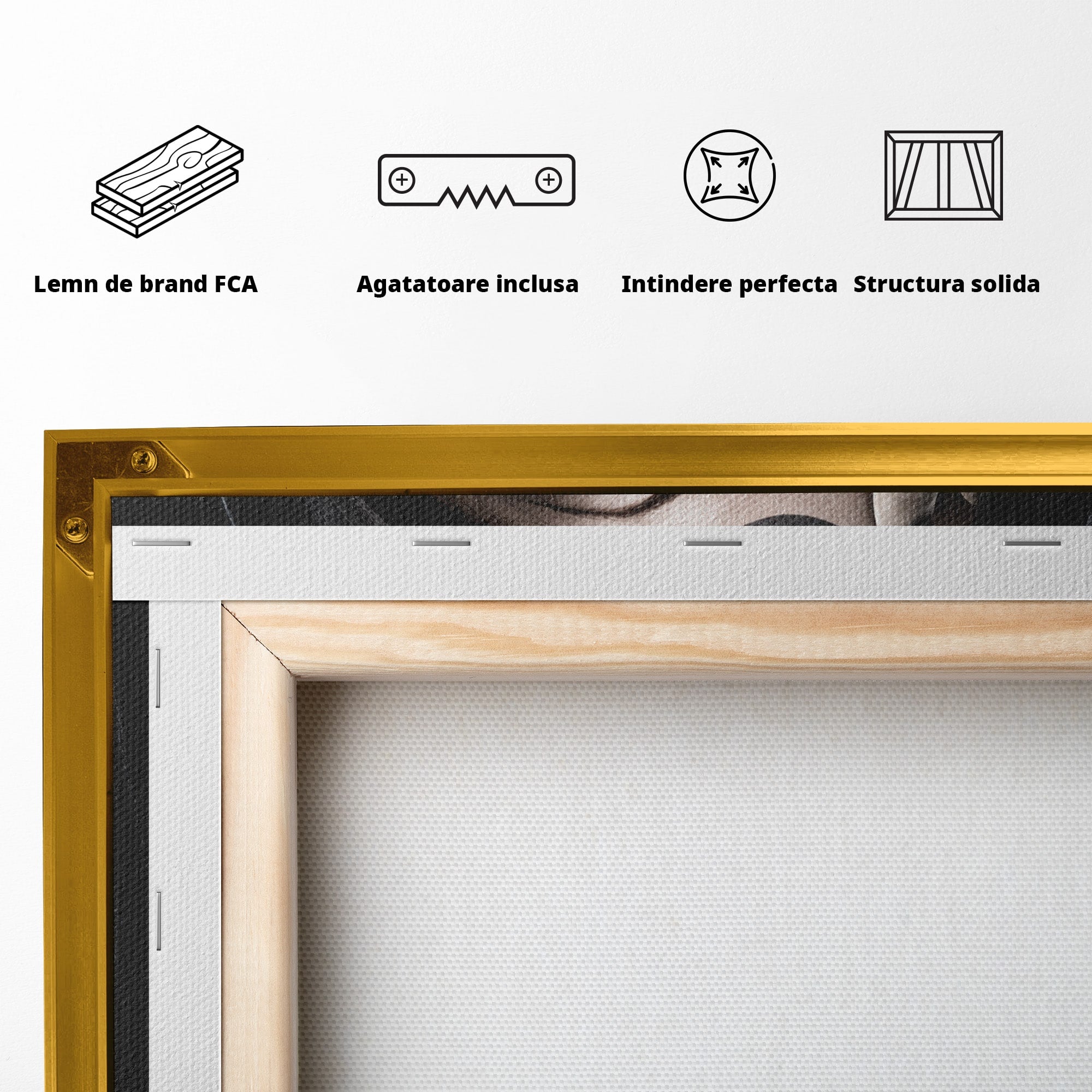Tablou Canvas Premium LuxCanva® U1088, Privire Intunecata, Portret, Craniu, Mister, Intuneric, Detaliu, Dormitor, Living, Culori Vibrante