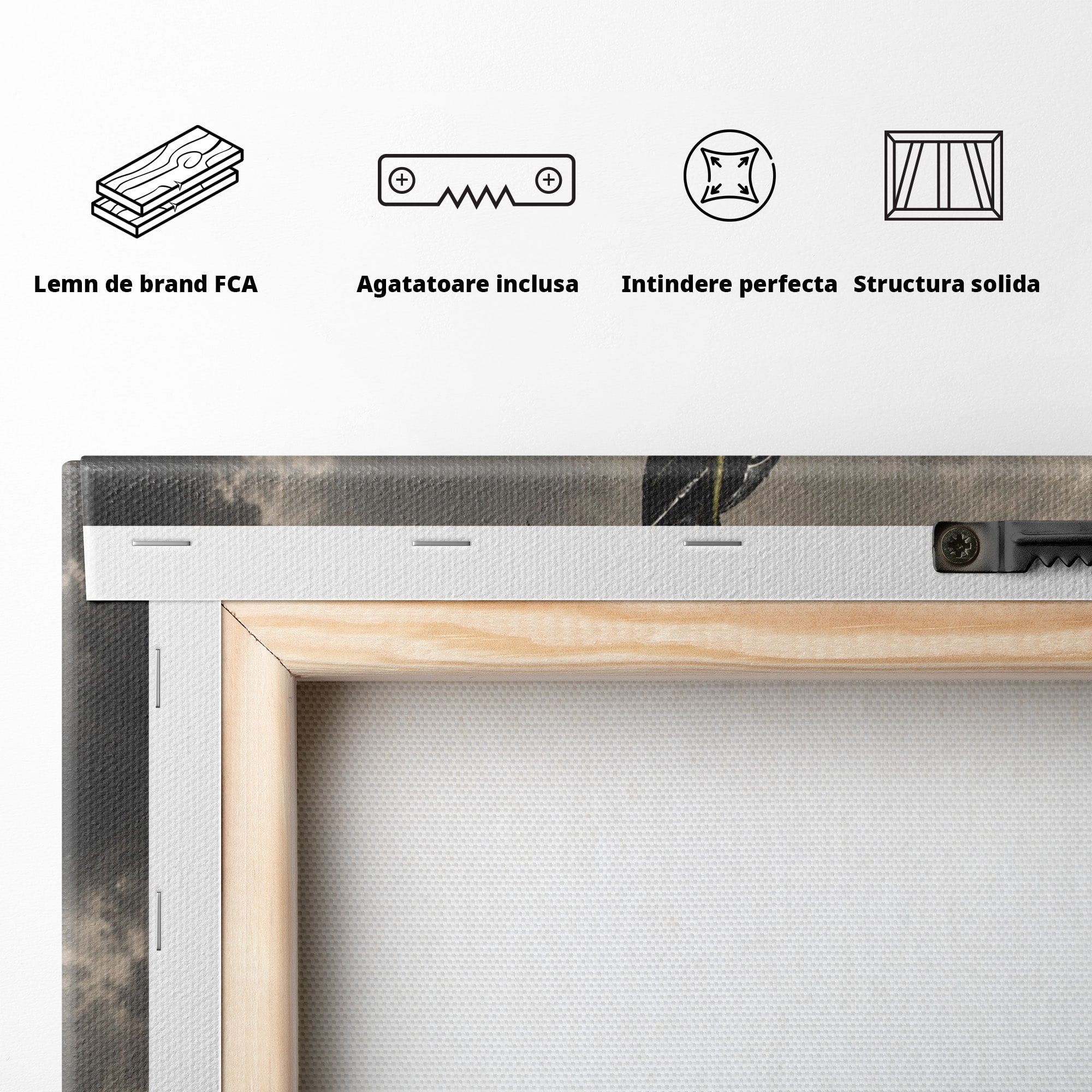 Tablou Canvas Premium LuxCanva® U1098, Mana De Fier Si Floarea, Cavaler, Natura, Mana, Floare, Dormitor, Living, Culori Vibrante