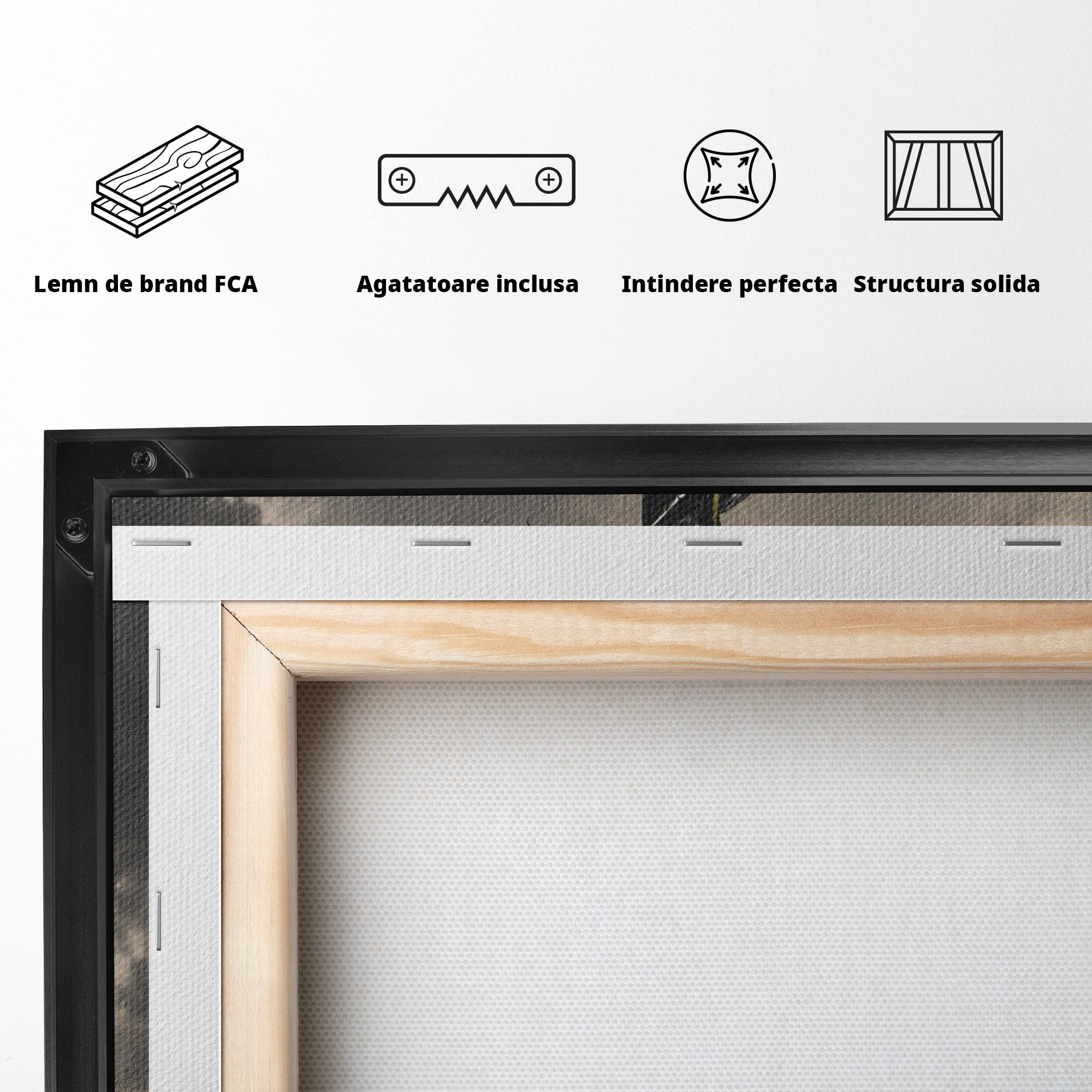 Tablou Canvas Premium LuxCanva® U1098, Mana De Fier Si Floarea, Cavaler, Natura, Mana, Floare, Dormitor, Living, Culori Vibrante