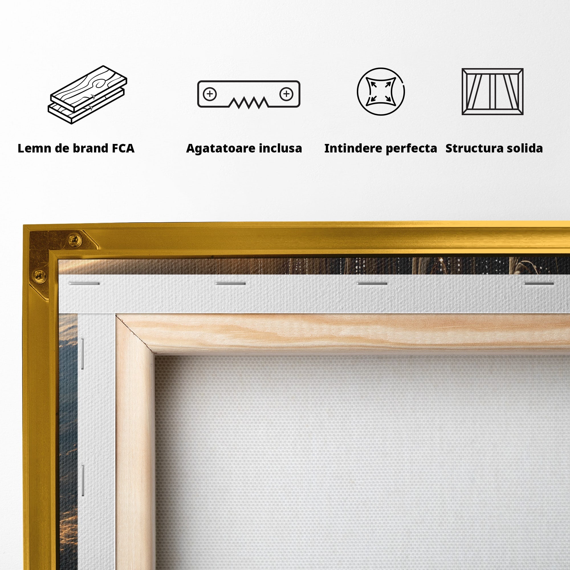 Tablou Canvas Premium LuxCanva® U1101, Siluete Cosmogonice,  Spatiu, Univers, Mister, Siluete, Dormitor, Culori Vibrante