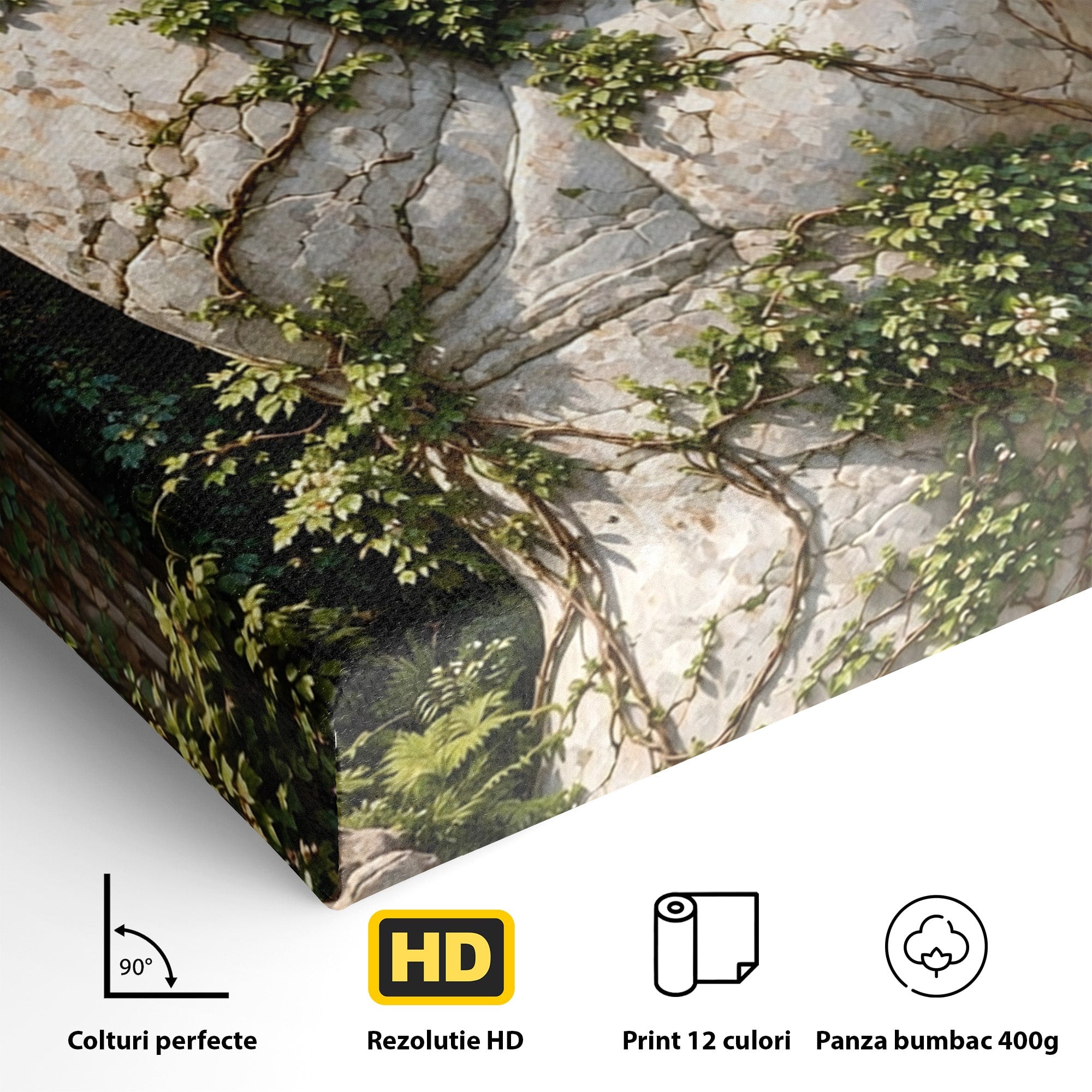 Tablou Canvas Premium LuxCanva® U1104, Mana De Piatra Cu Cuib, Porumbel, Natura, Ruine, Gradina, Mana, Cuib, Dormitor, Living, Culori Vibrante