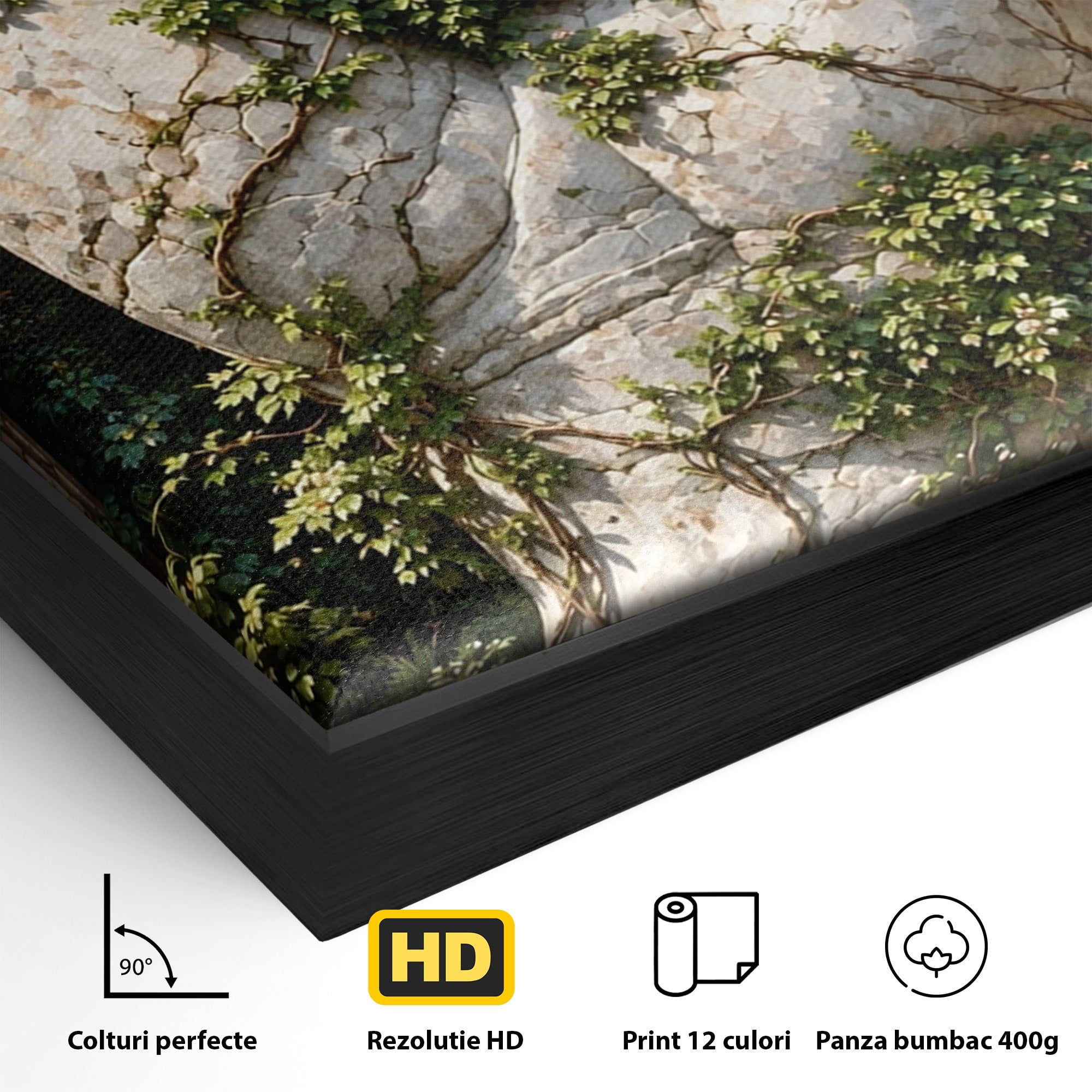 Tablou Canvas Premium LuxCanva® U1104, Mana De Piatra Cu Cuib, Porumbel, Natura, Ruine, Gradina, Mana, Cuib, Dormitor, Living, Culori Vibrante
