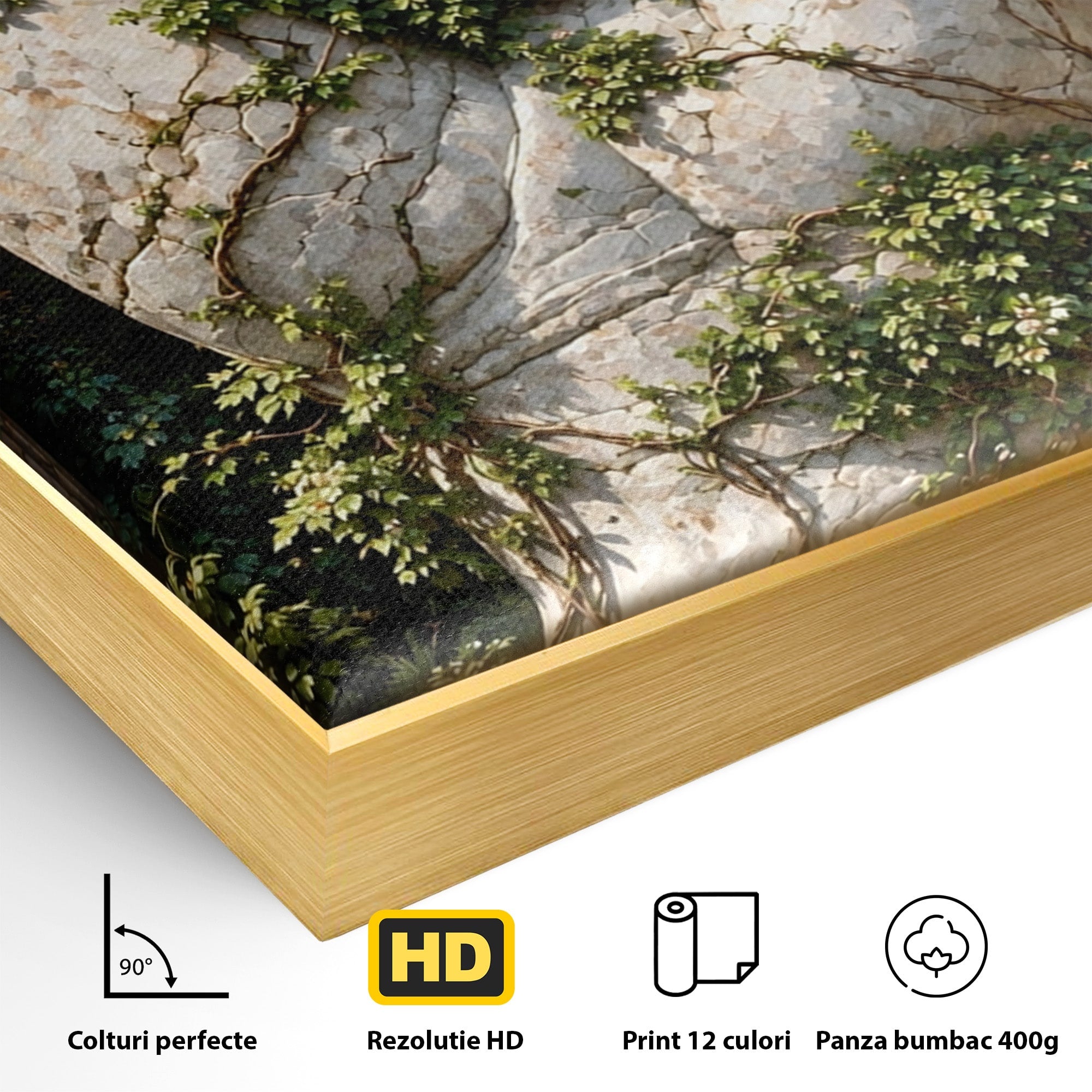 Tablou Canvas Premium LuxCanva® U1104, Mana De Piatra Cu Cuib, Porumbel, Natura, Ruine, Gradina, Mana, Cuib, Dormitor, Living, Culori Vibrante