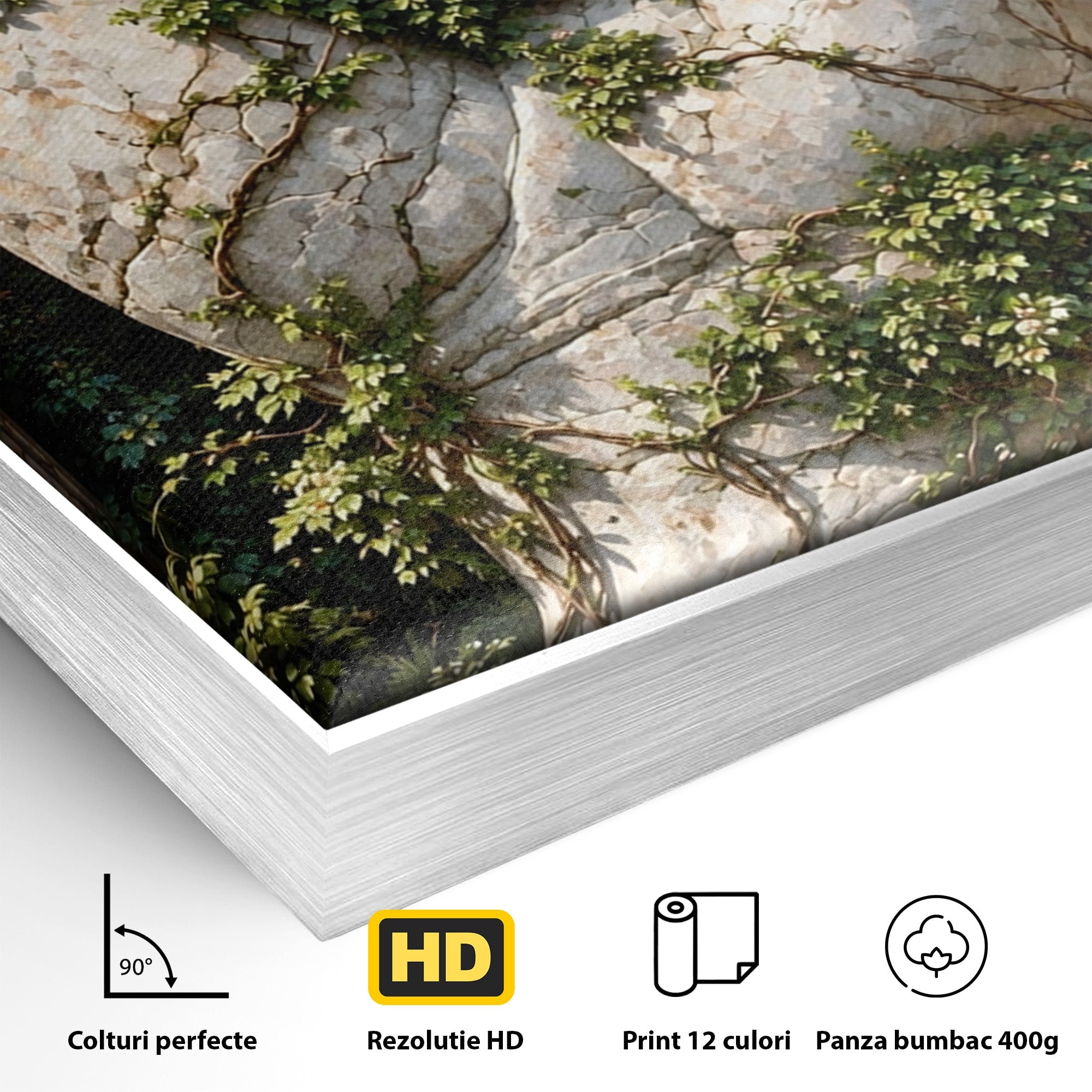 Tablou Canvas Premium LuxCanva® U1104, Mana De Piatra Cu Cuib, Porumbel, Natura, Ruine, Gradina, Mana, Cuib, Dormitor, Living, Culori Vibrante