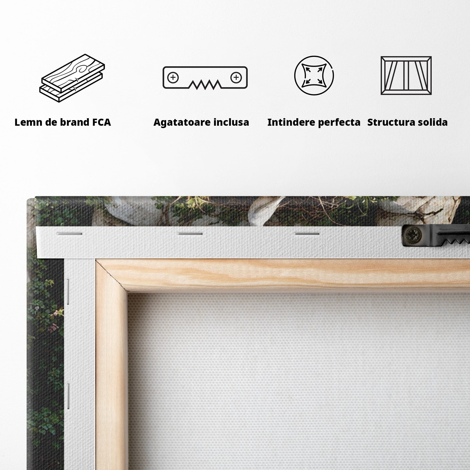 Tablou Canvas Premium LuxCanva® U1104, Mana De Piatra Cu Cuib, Porumbel, Natura, Ruine, Gradina, Mana, Cuib, Dormitor, Living, Culori Vibrante