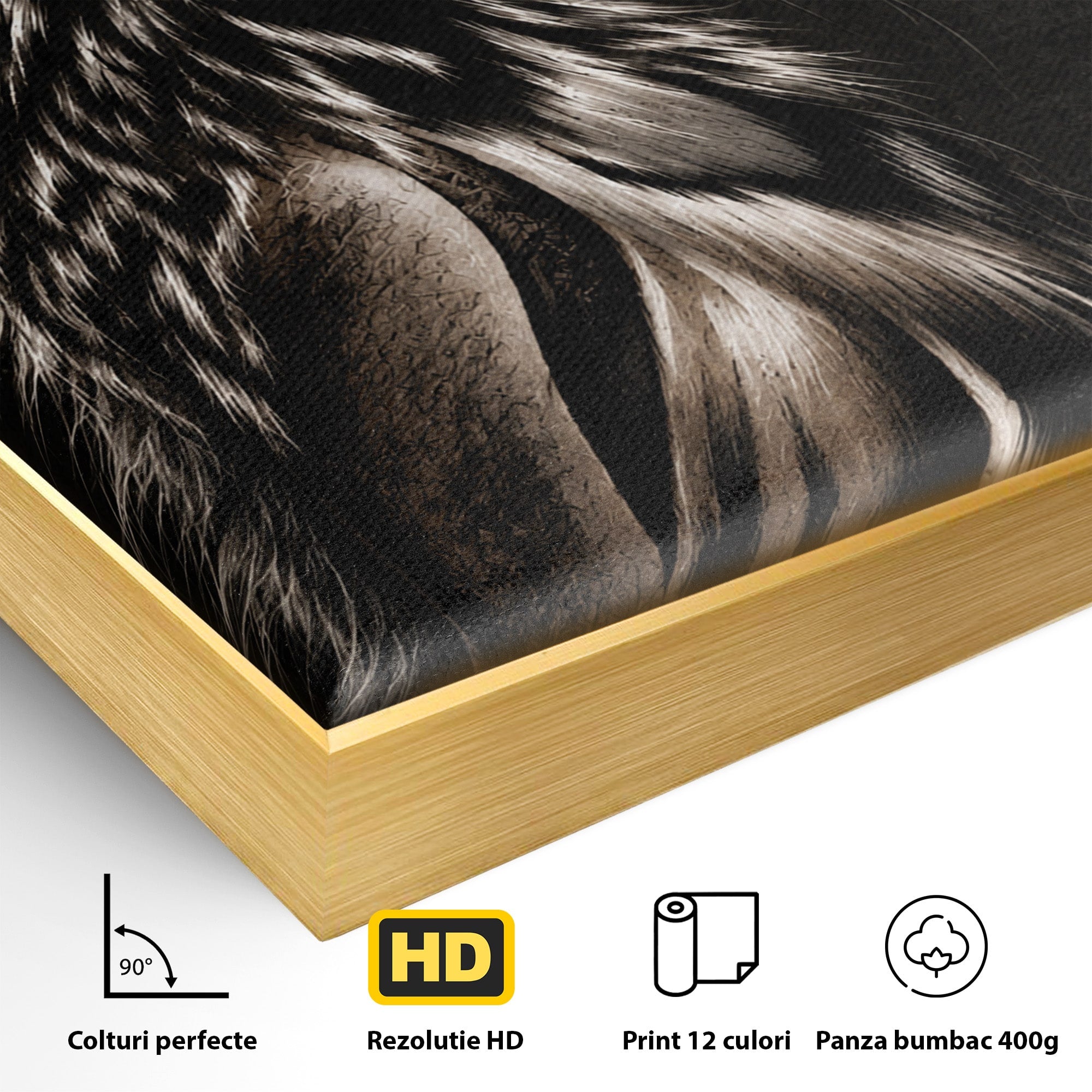 Tablou Canvas Premium LuxCanva® U1106, Femeie Lup, Mister, Portret, Femeie, Lup, Dormitor, Living, Culori Vibrante