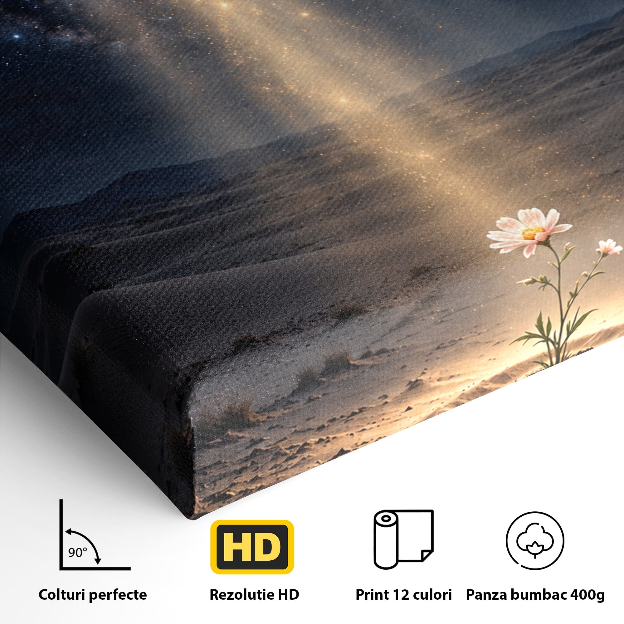 Tablou Canvas Premium LuxCanva® U1108, Floare In Desert,  Noapte, Lumina, Floare, Desert, Living, Culori Vibrante