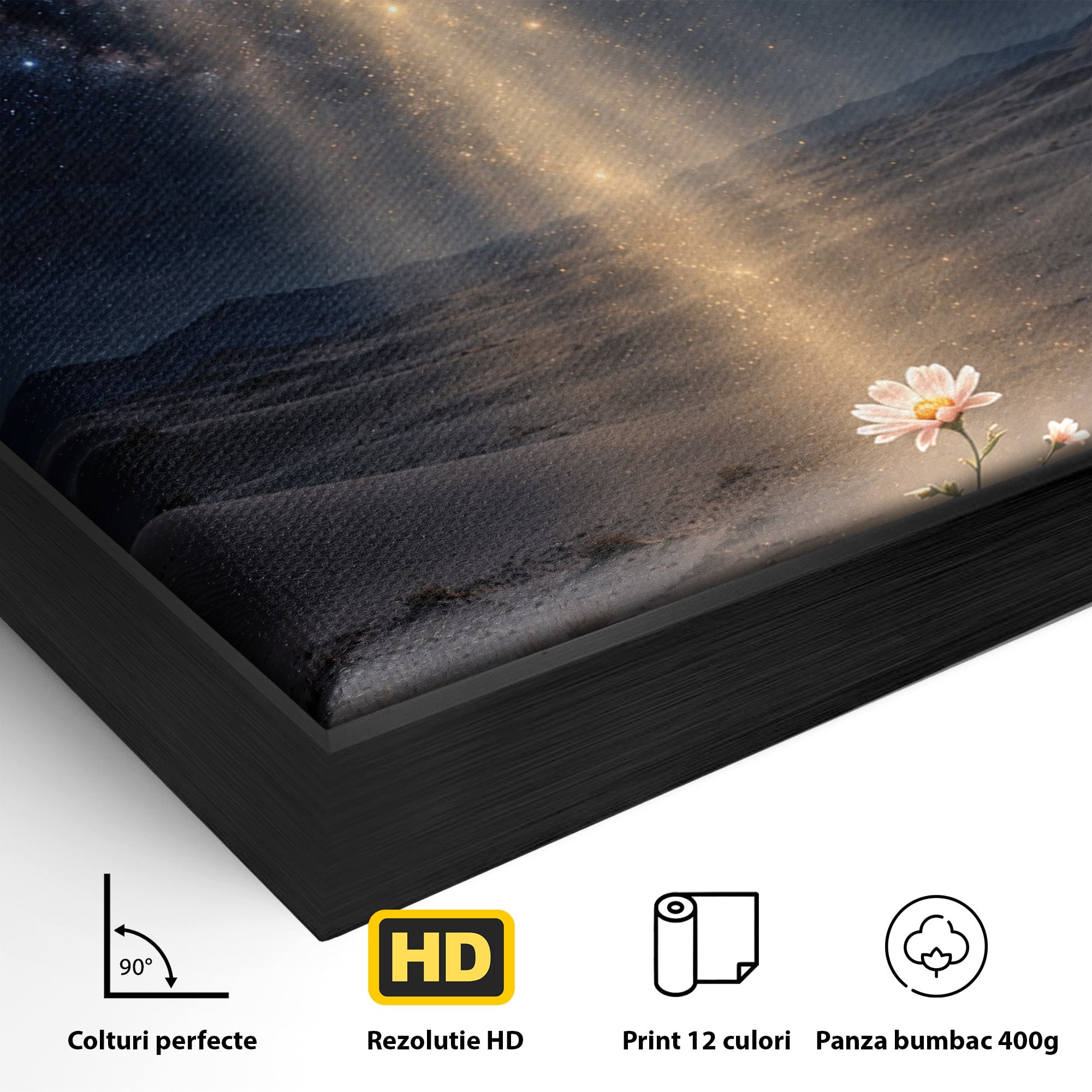 Tablou Canvas Premium LuxCanva® U1108, Floare In Desert,  Noapte, Lumina, Floare, Desert, Living, Culori Vibrante