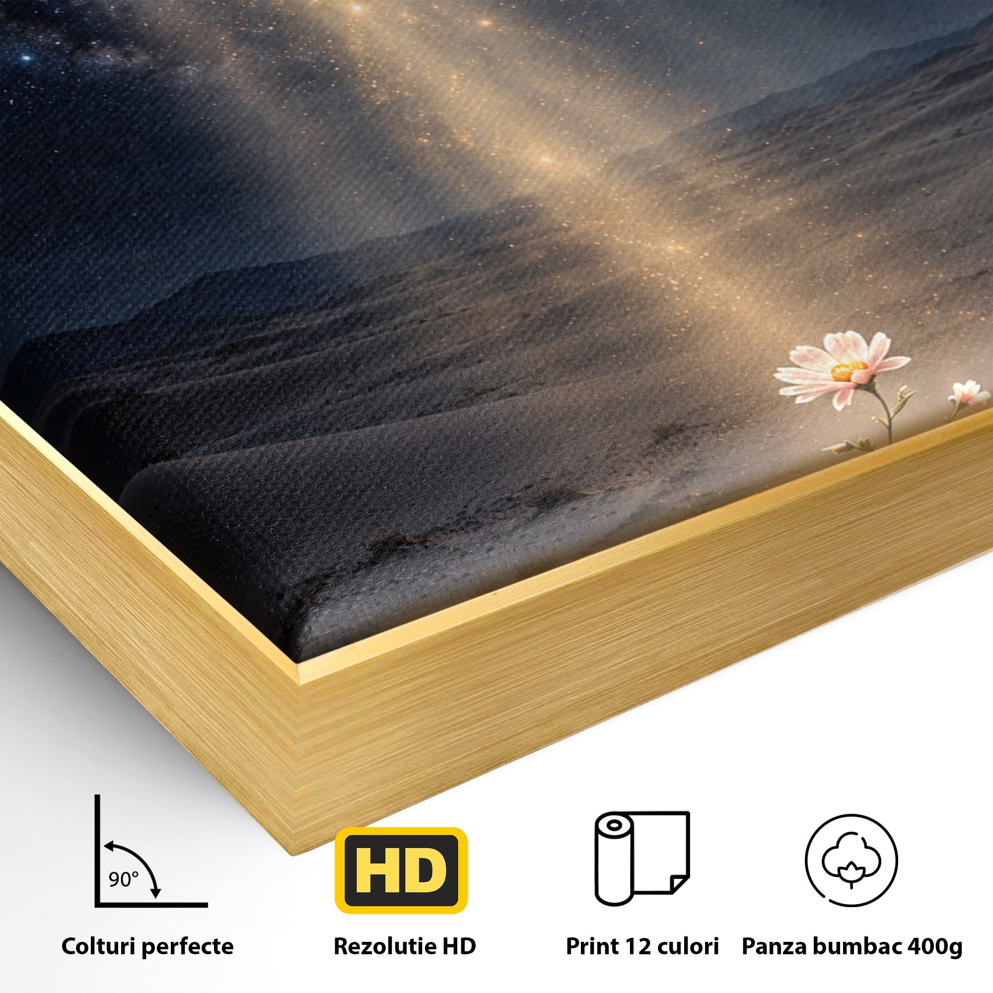Tablou Canvas Premium LuxCanva® U1108, Floare In Desert,  Noapte, Lumina, Floare, Desert, Living, Culori Vibrante
