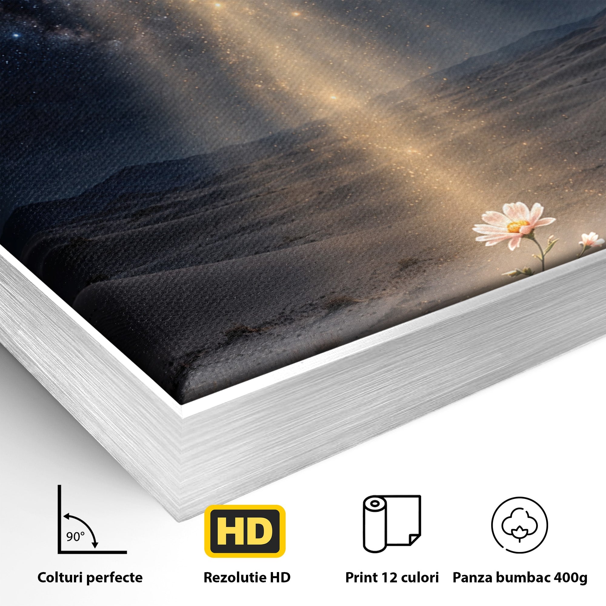 Tablou Canvas Premium LuxCanva® U1108, Floare In Desert,  Noapte, Lumina, Floare, Desert, Living, Culori Vibrante