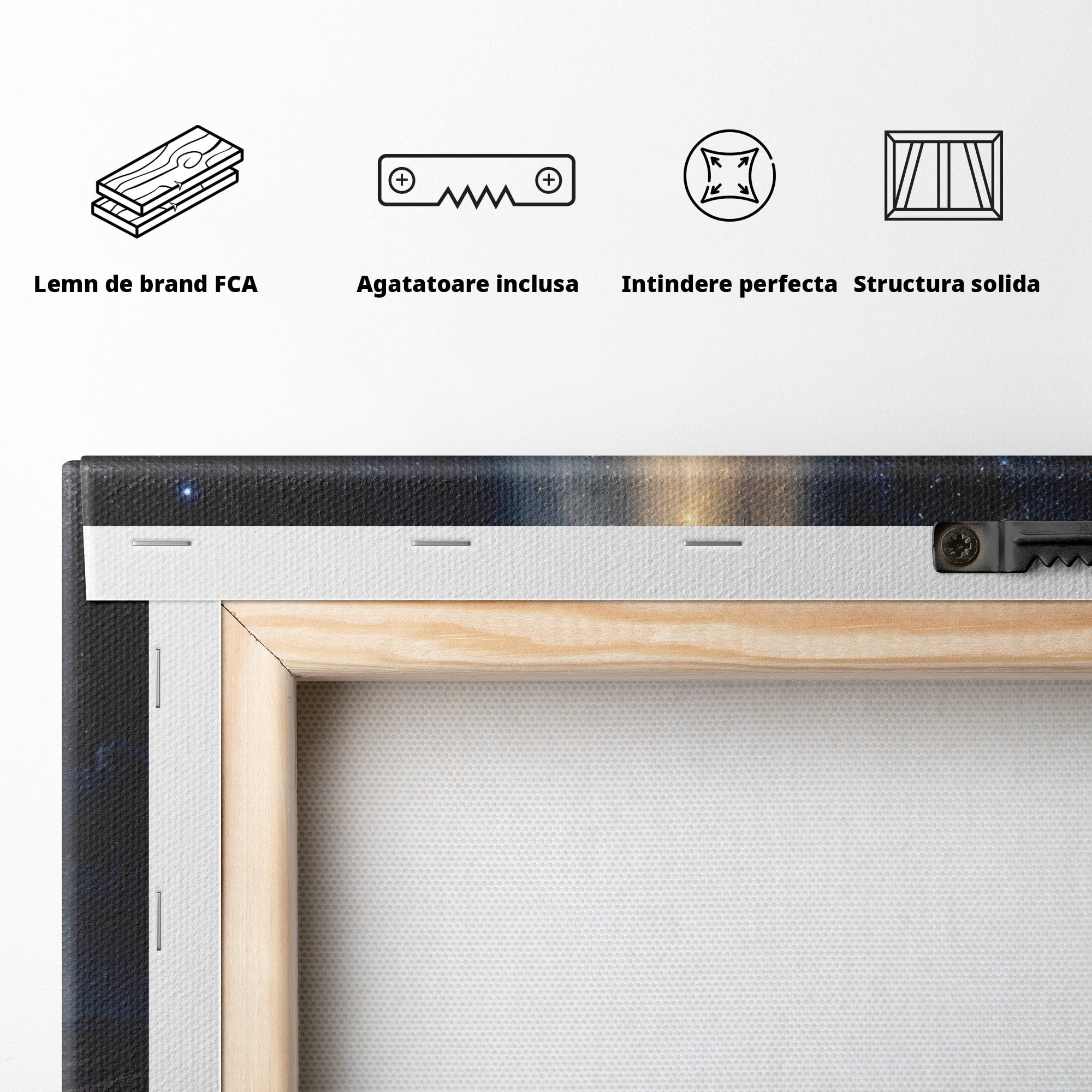 Tablou Canvas Premium LuxCanva® U1108, Floare In Desert,  Noapte, Lumina, Floare, Desert, Living, Culori Vibrante