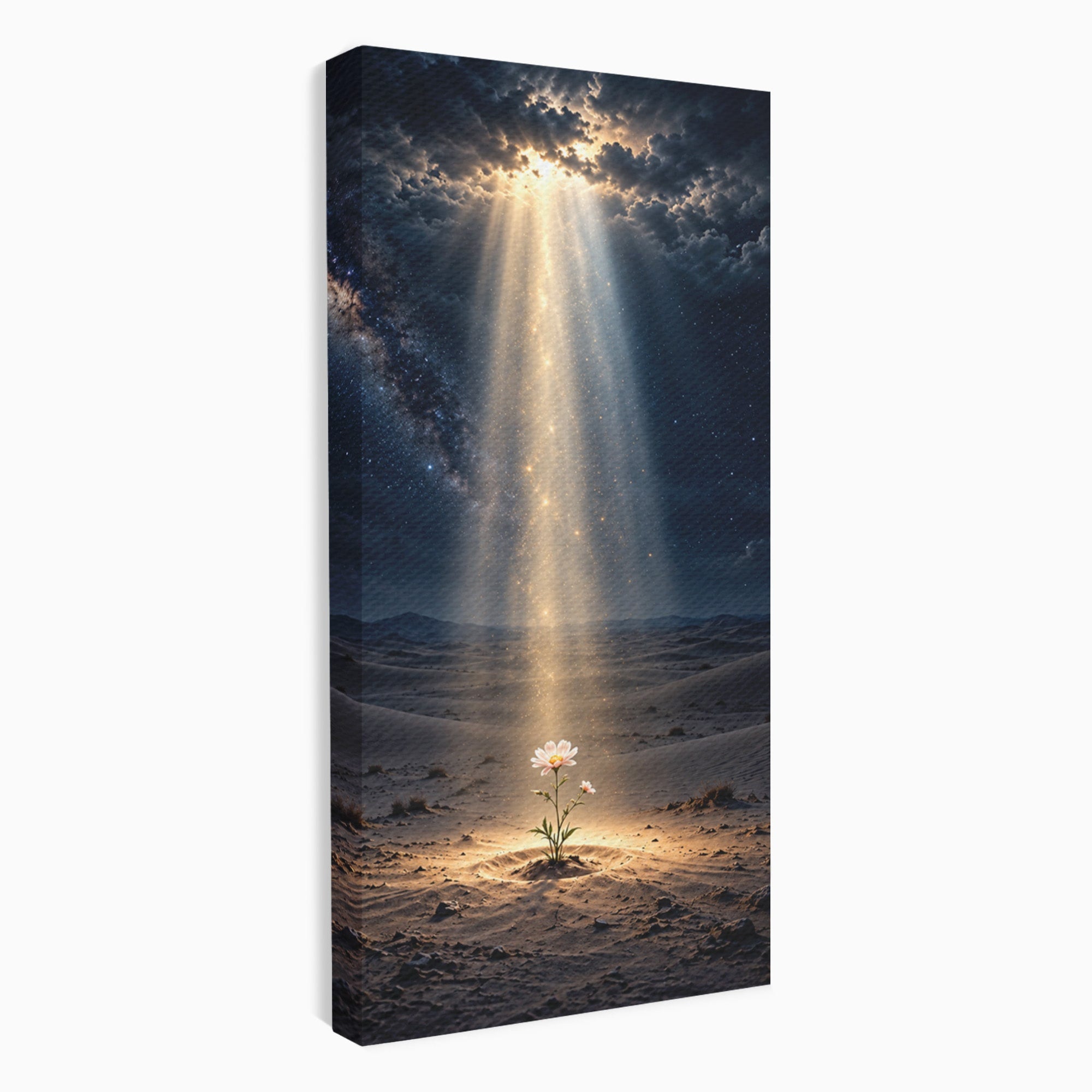 Tablou Canvas Premium LuxCanva® U1108, Floare In Desert,  Noapte, Lumina, Floare, Desert, Living, Culori Vibrante