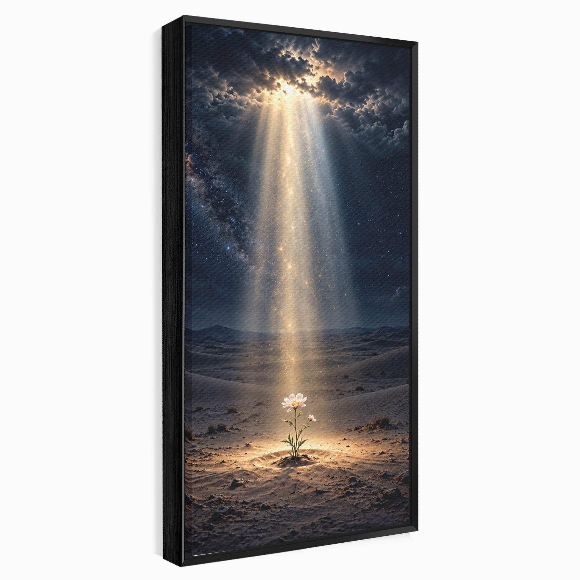 Tablou Canvas Premium LuxCanva® U1108, Floare In Desert,  Noapte, Lumina, Floare, Desert, Living, Culori Vibrante