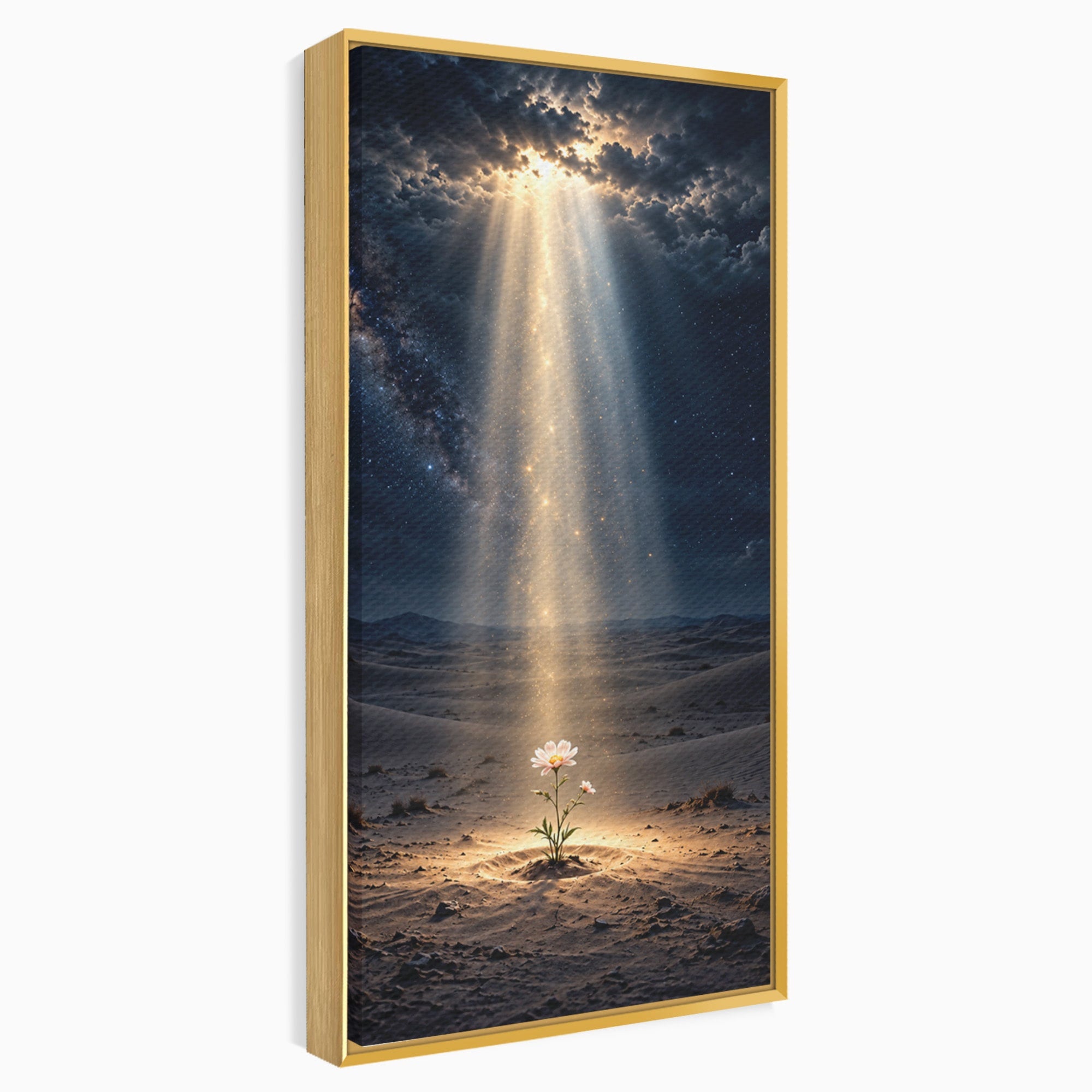Tablou Canvas Premium LuxCanva® U1108, Floare In Desert,  Noapte, Lumina, Floare, Desert, Living, Culori Vibrante