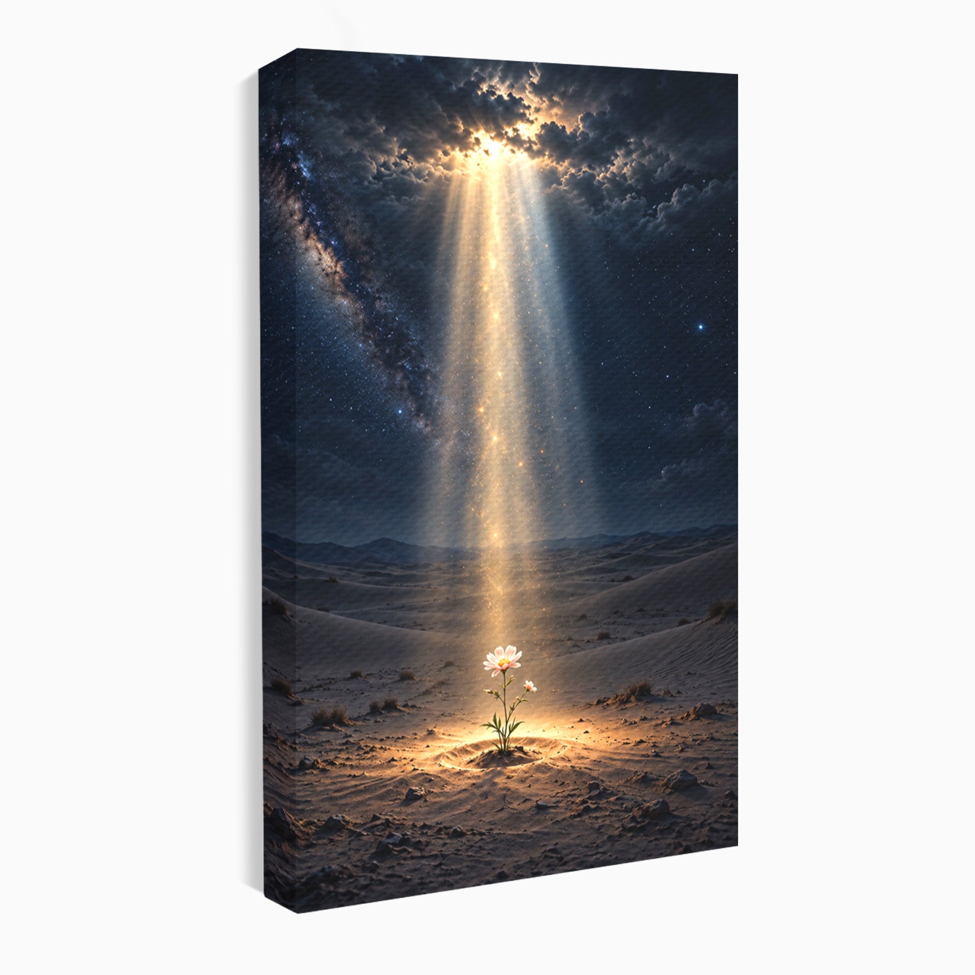 Tablou Canvas Premium LuxCanva® U1108, Floare In Desert,  Noapte, Lumina, Floare, Desert, Living, Culori Vibrante
