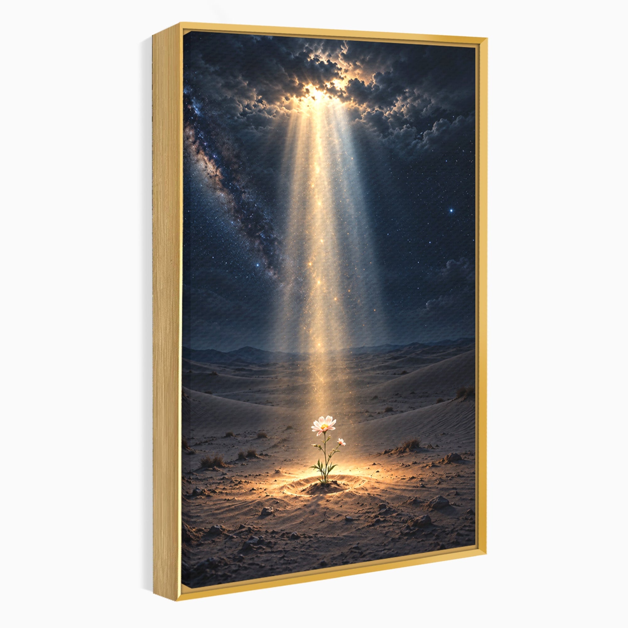 Tablou Canvas Premium LuxCanva® U1108, Floare In Desert,  Noapte, Lumina, Floare, Desert, Living, Culori Vibrante