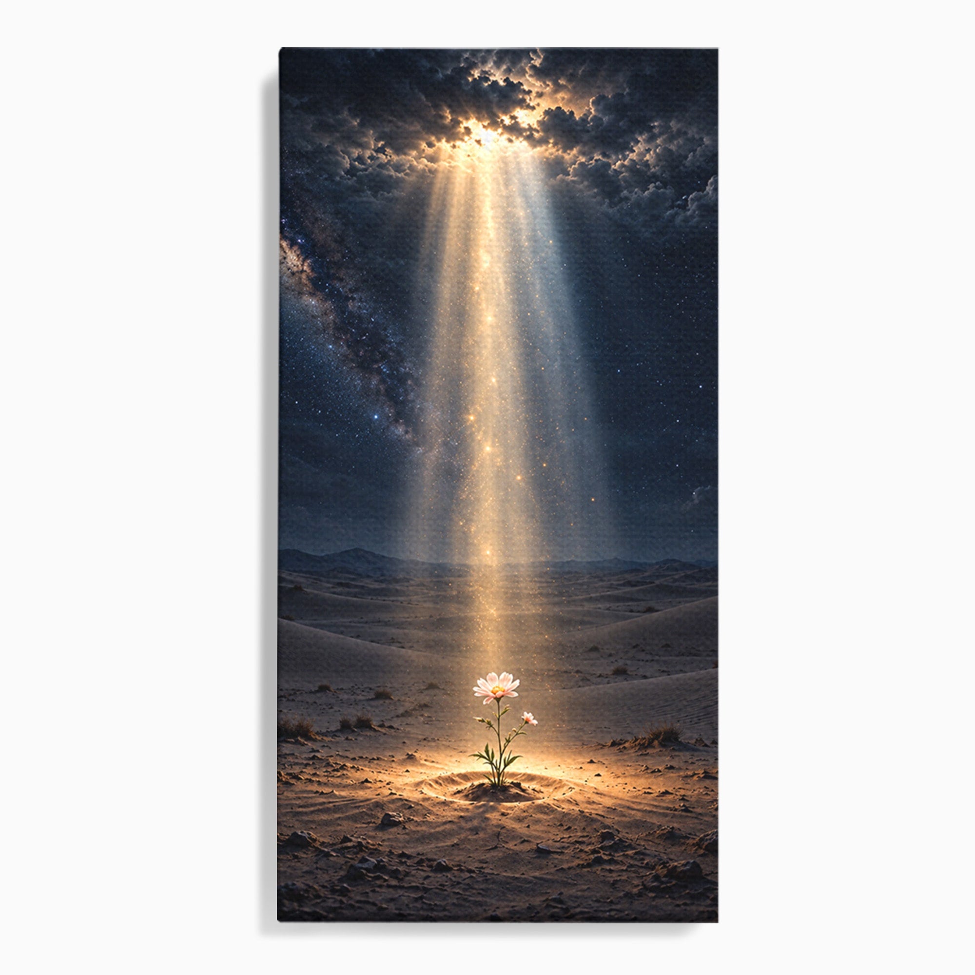 Tablou Canvas Premium LuxCanva® U1108, Floare In Desert,  Noapte, Lumina, Floare, Desert, Living, Culori Vibrante
