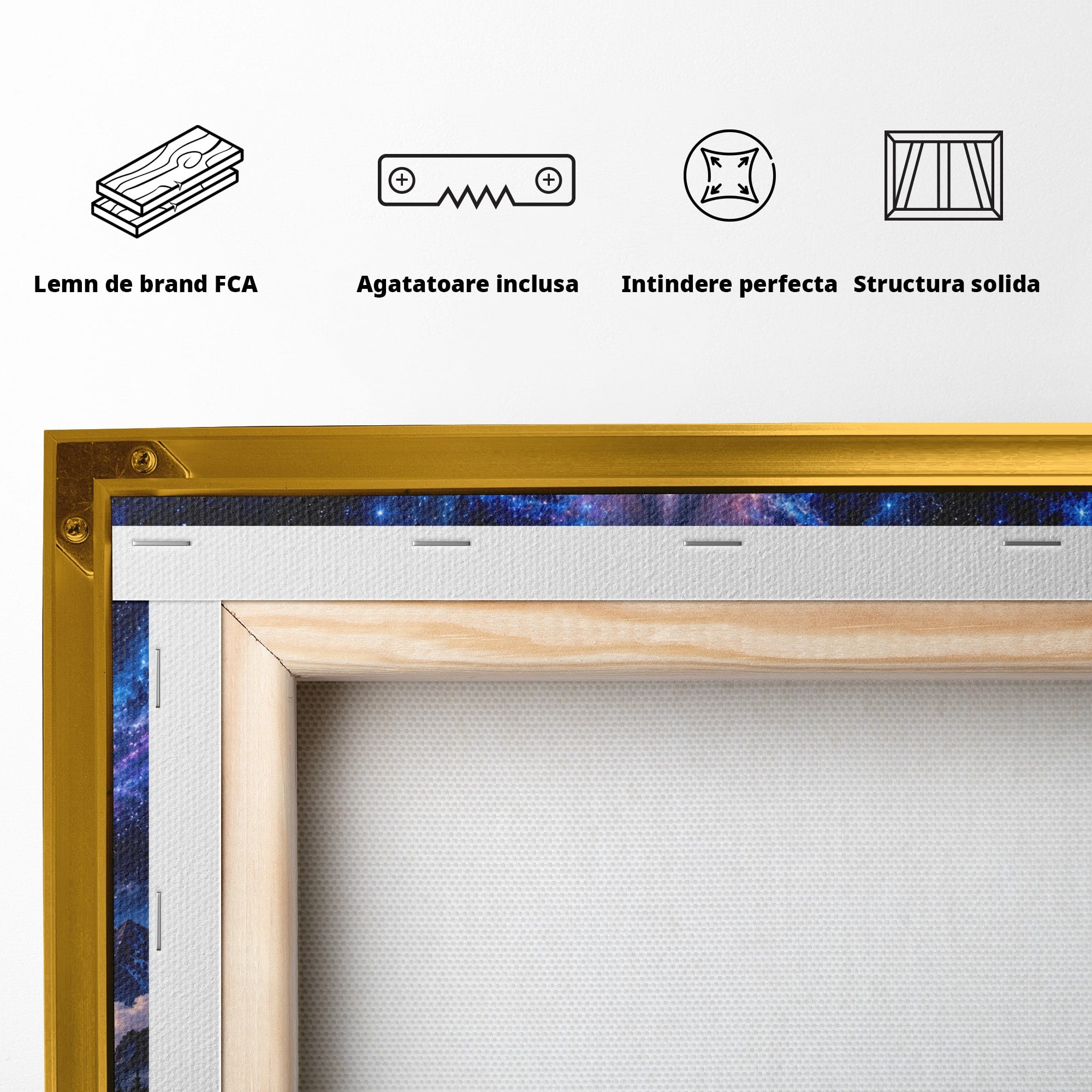 Tablou Canvas Premium LuxCanva® U1110, Zeița Cosmosului, Peisaj, Fantezie, Zeița, Cosmos,  Living, Culori Vibrante