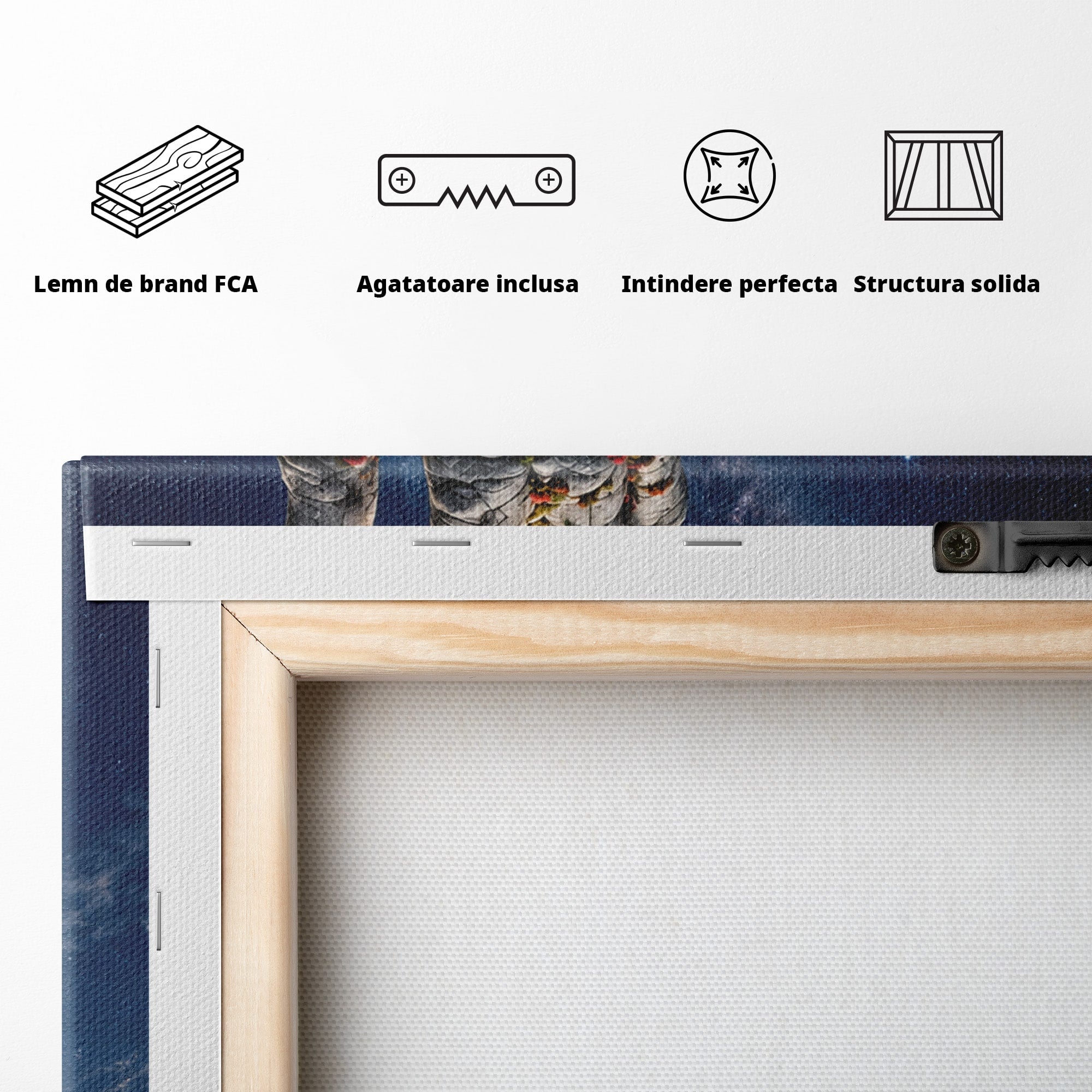 Tablou Canvas Premium LuxCanva® U1112, Mana Spre Luna, Mana,  Natura, Cer, Luna, Living, Culori Vibrante