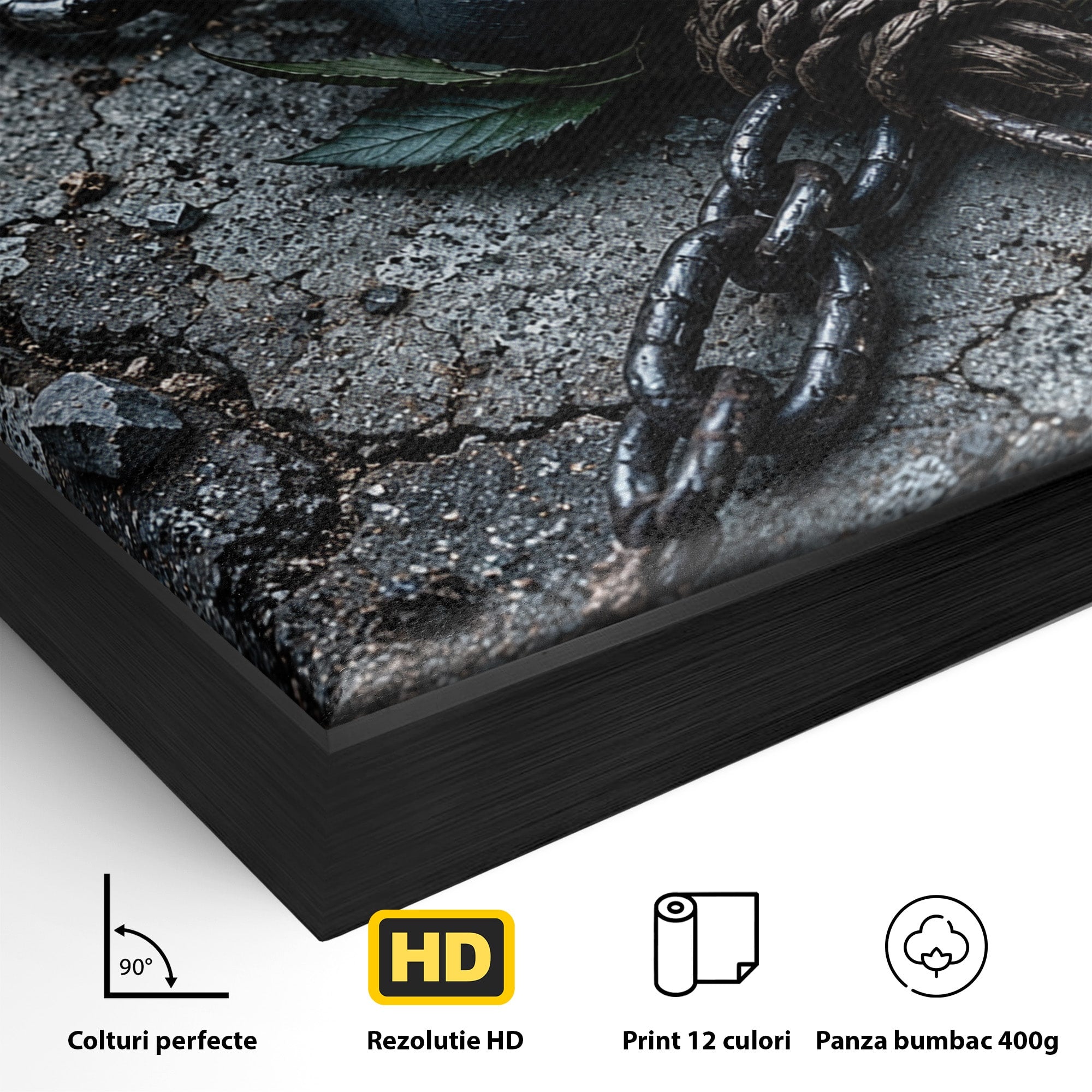 Tablou Canvas Premium LuxCanva® U1118, Trandafir Intunecat, Lanturi, Textura, Contrast, Trandafir, Dormitor, Culori Vibrante