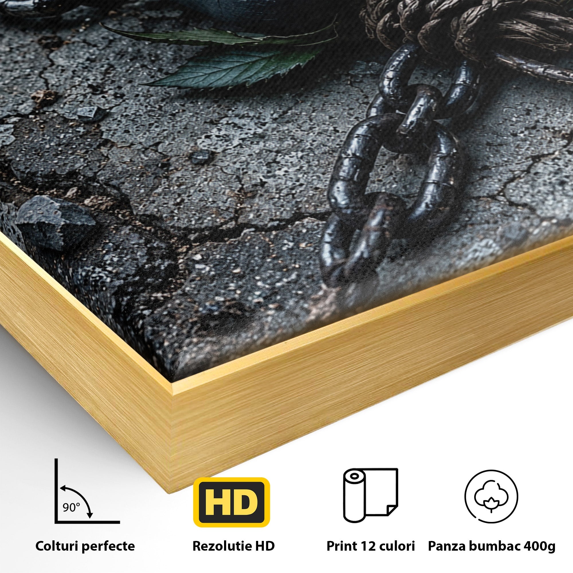 Tablou Canvas Premium LuxCanva® U1118, Trandafir Intunecat, Lanturi, Textura, Contrast, Trandafir, Dormitor, Culori Vibrante