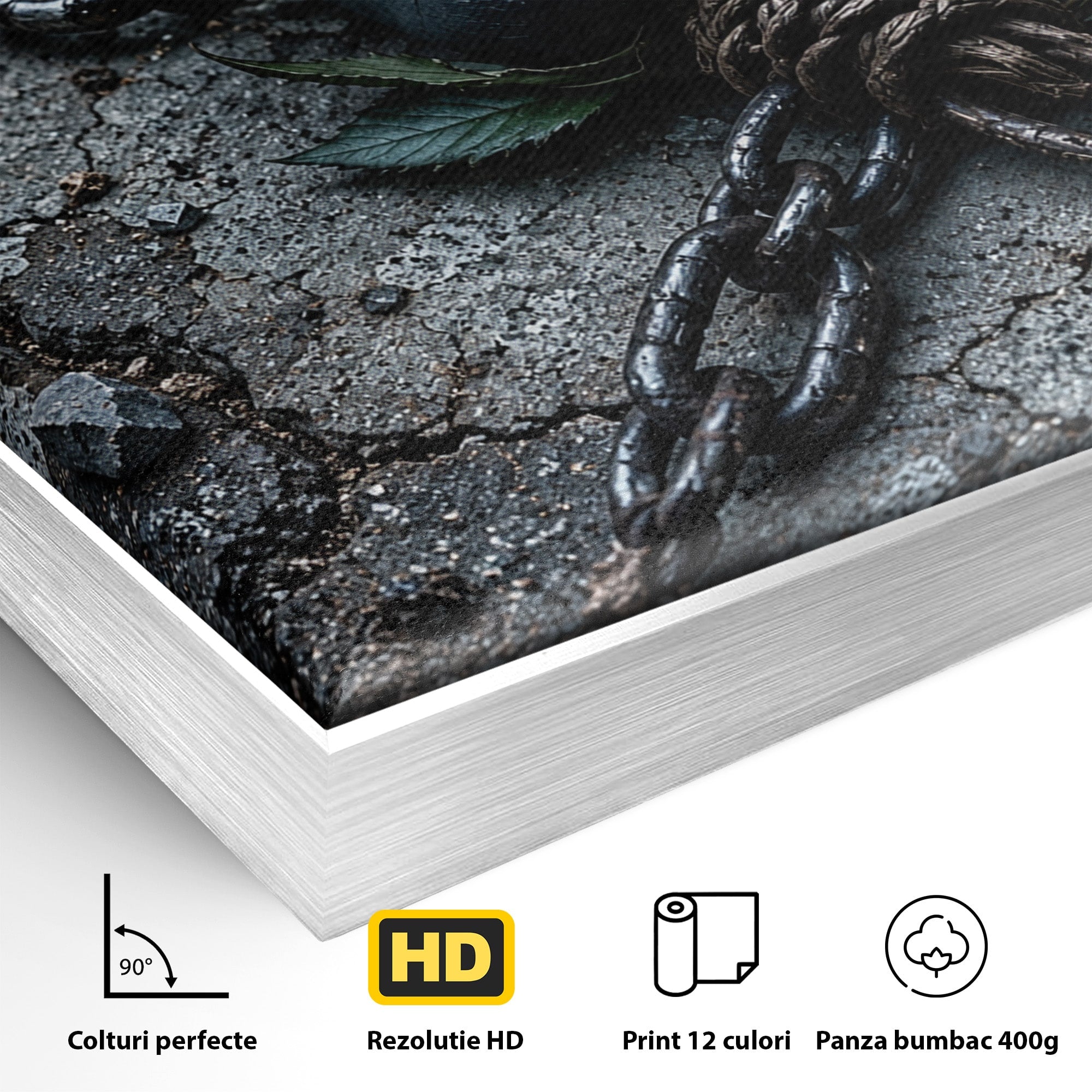 Tablou Canvas Premium LuxCanva® U1118, Trandafir Intunecat, Lanturi, Textura, Contrast, Trandafir, Dormitor, Culori Vibrante