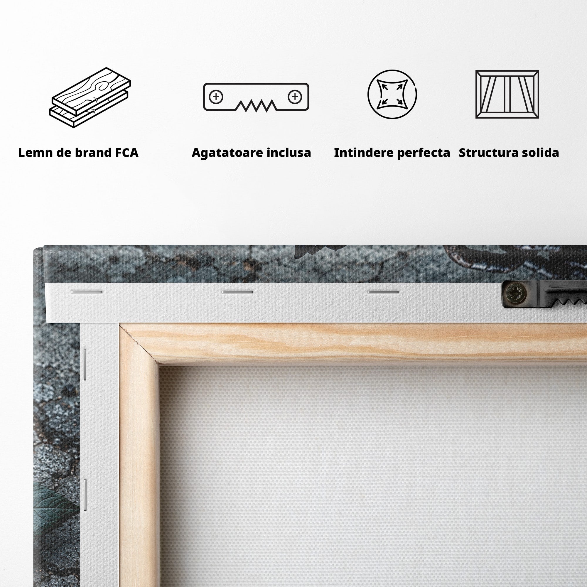 Tablou Canvas Premium LuxCanva® U1118, Trandafir Intunecat, Lanturi, Textura, Contrast, Trandafir, Dormitor, Culori Vibrante