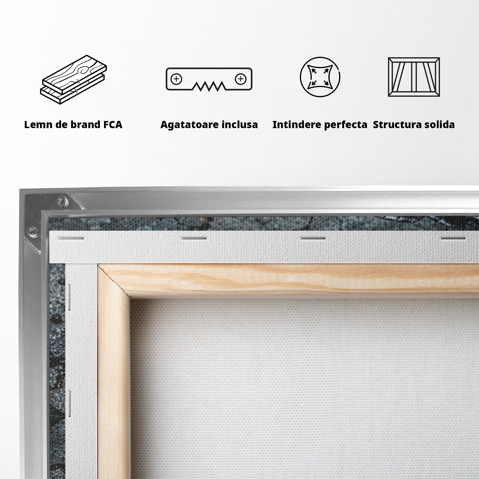 Tablou Canvas Premium LuxCanva® U1118, Trandafir Intunecat, Lanturi, Textura, Contrast, Trandafir, Dormitor, Culori Vibrante