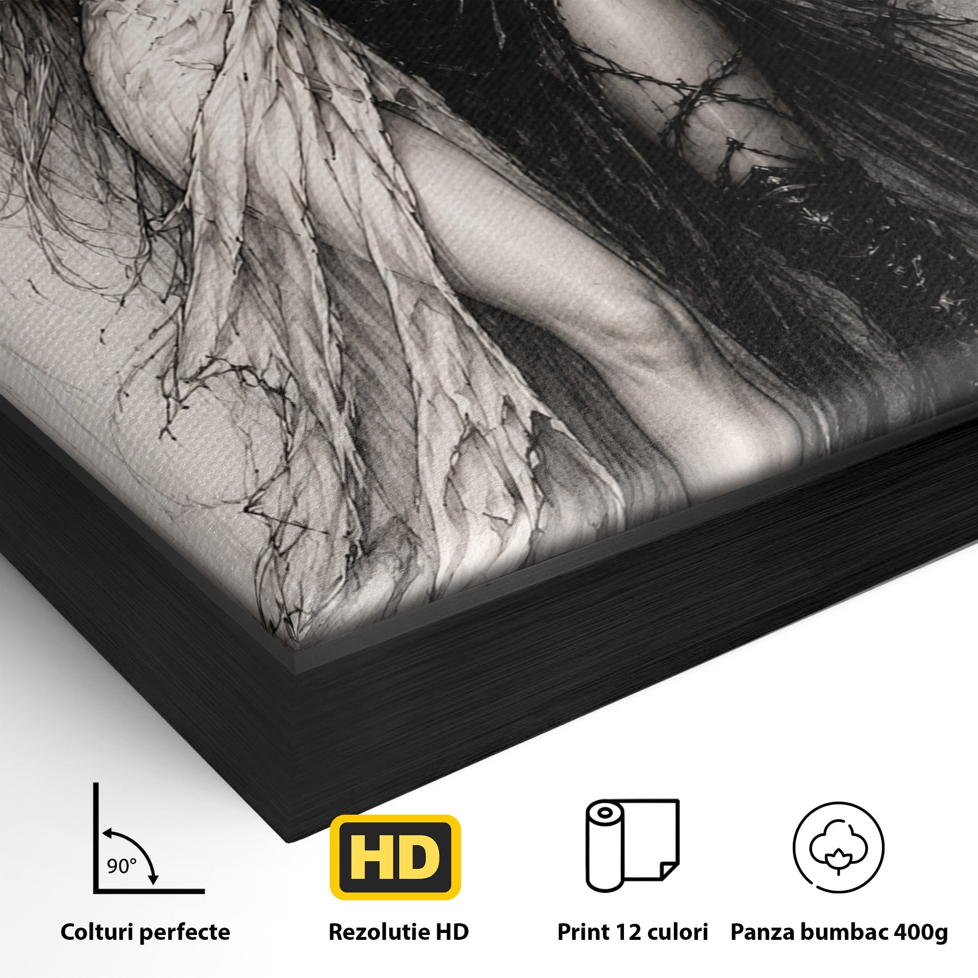 Tablou Canvas Premium LuxCanva® U1119, Inger Si Demon, Contrast, Mitologie, Inger, Demon, Living, Culori Vibrante